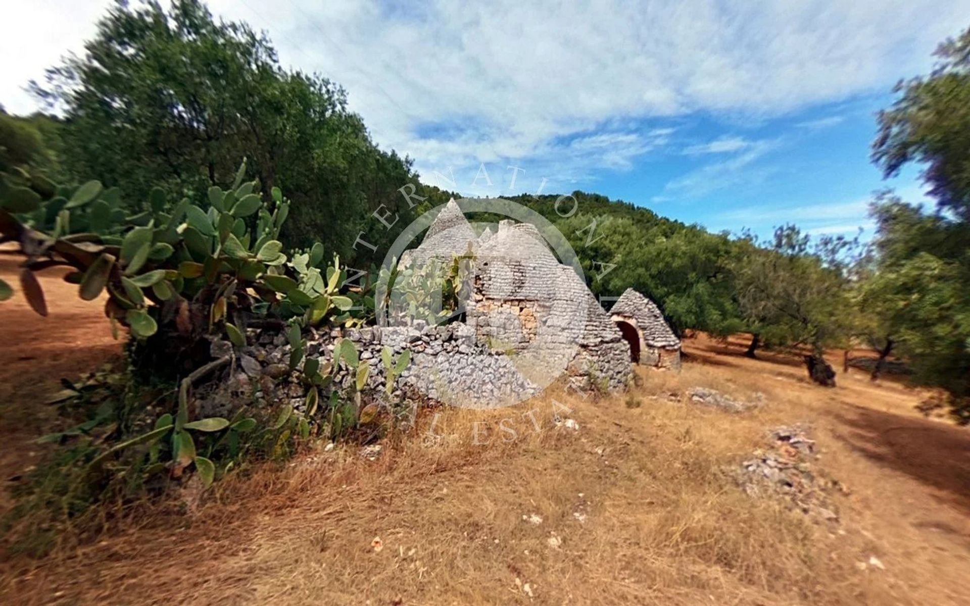 Hus i Fasano, Puglia 12634511