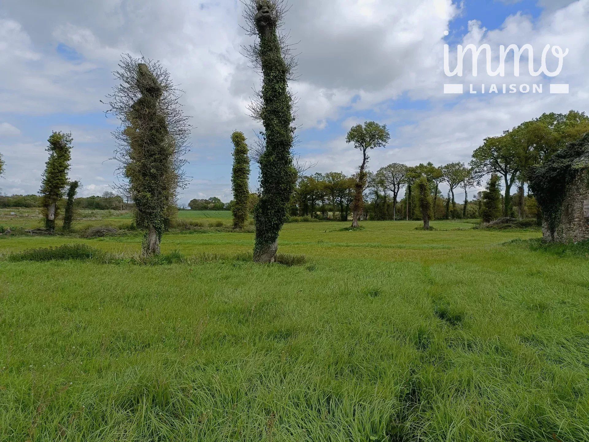 casa en Guer, Ille-et-Vilaine 12635318