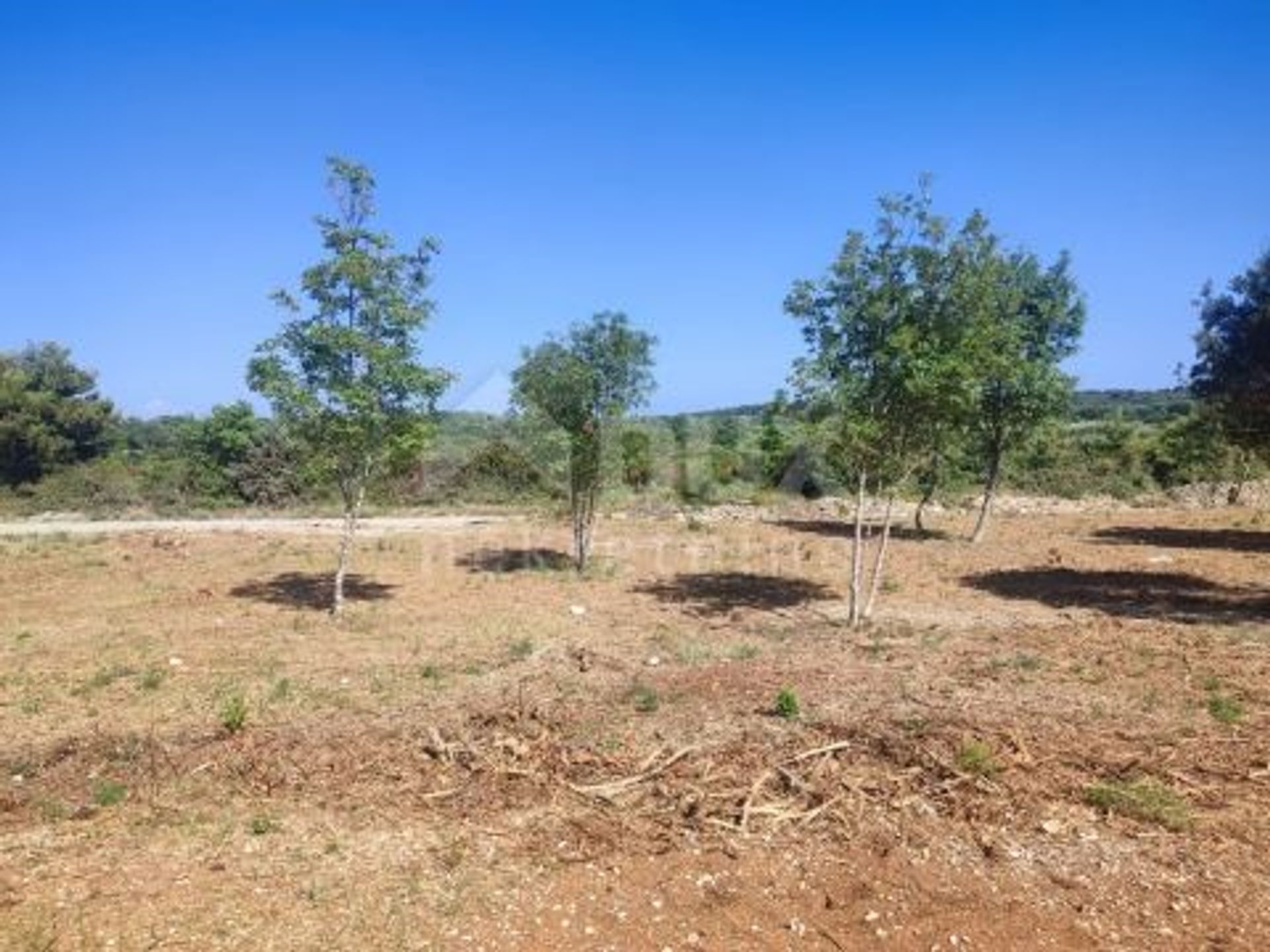 Land in Medulin, Istria County 12635915