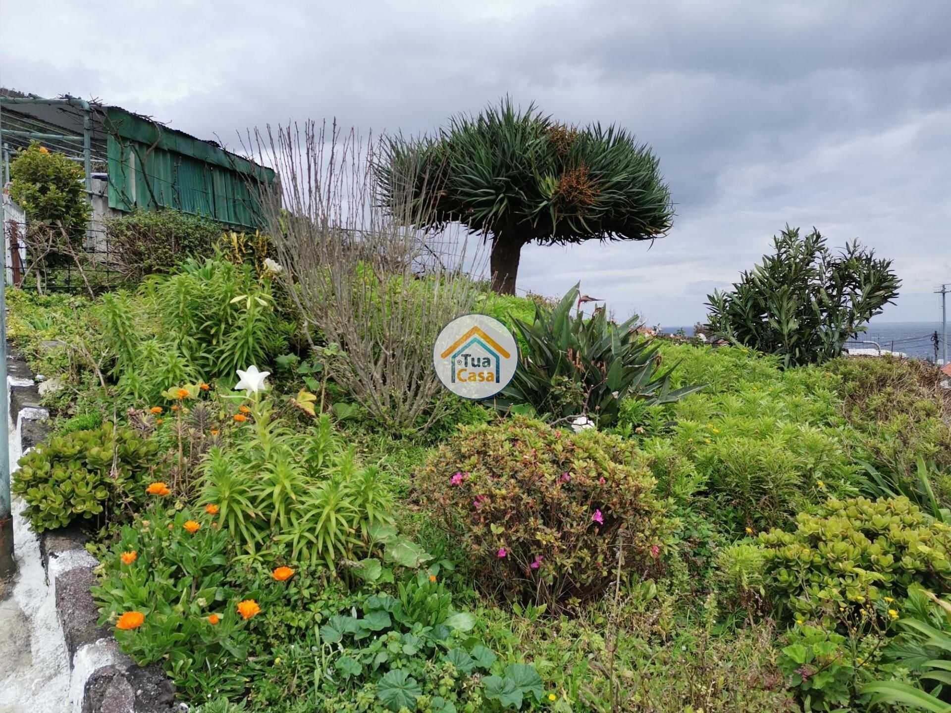 Casa nel Calheta, Azores 12636055