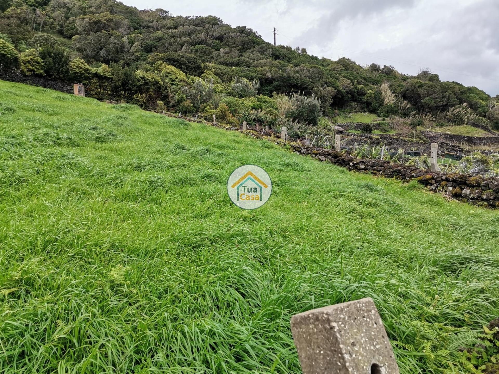 σπίτι σε Calheta, Azores 12636055