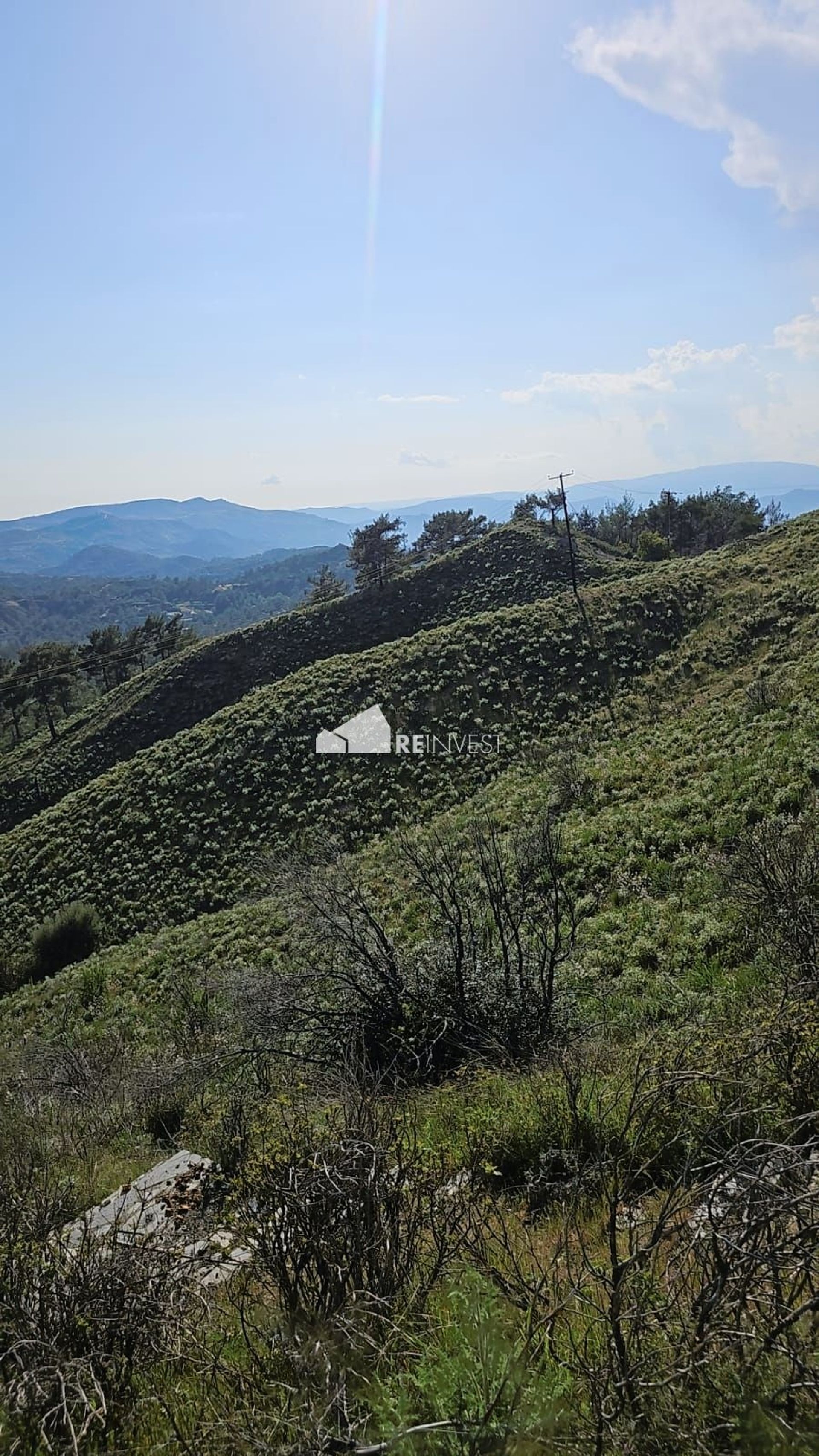 casa no Sourarávia, Lemesos 12638694