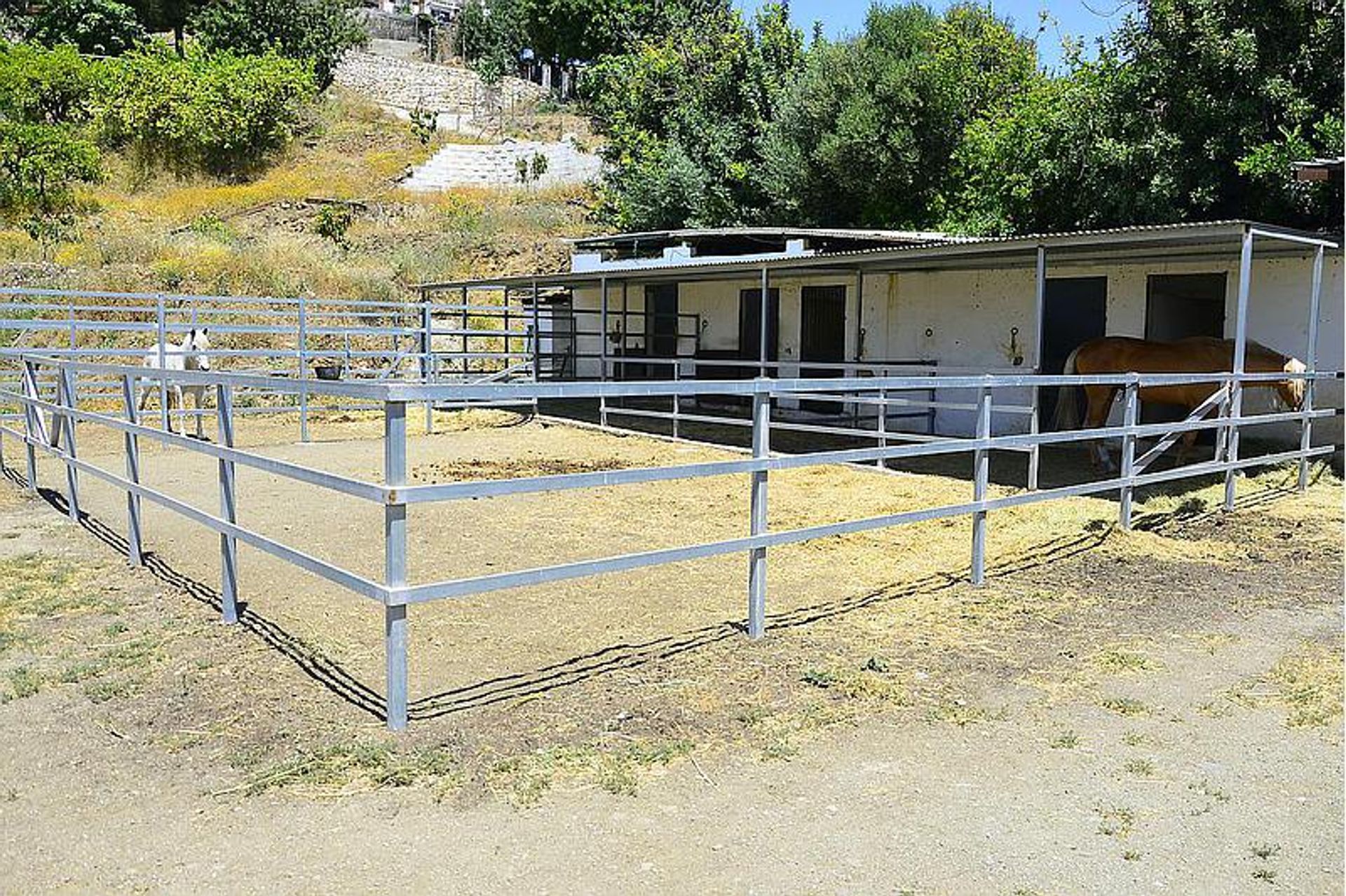 Annen i La Cala de Mijas, Andalucía 12639243