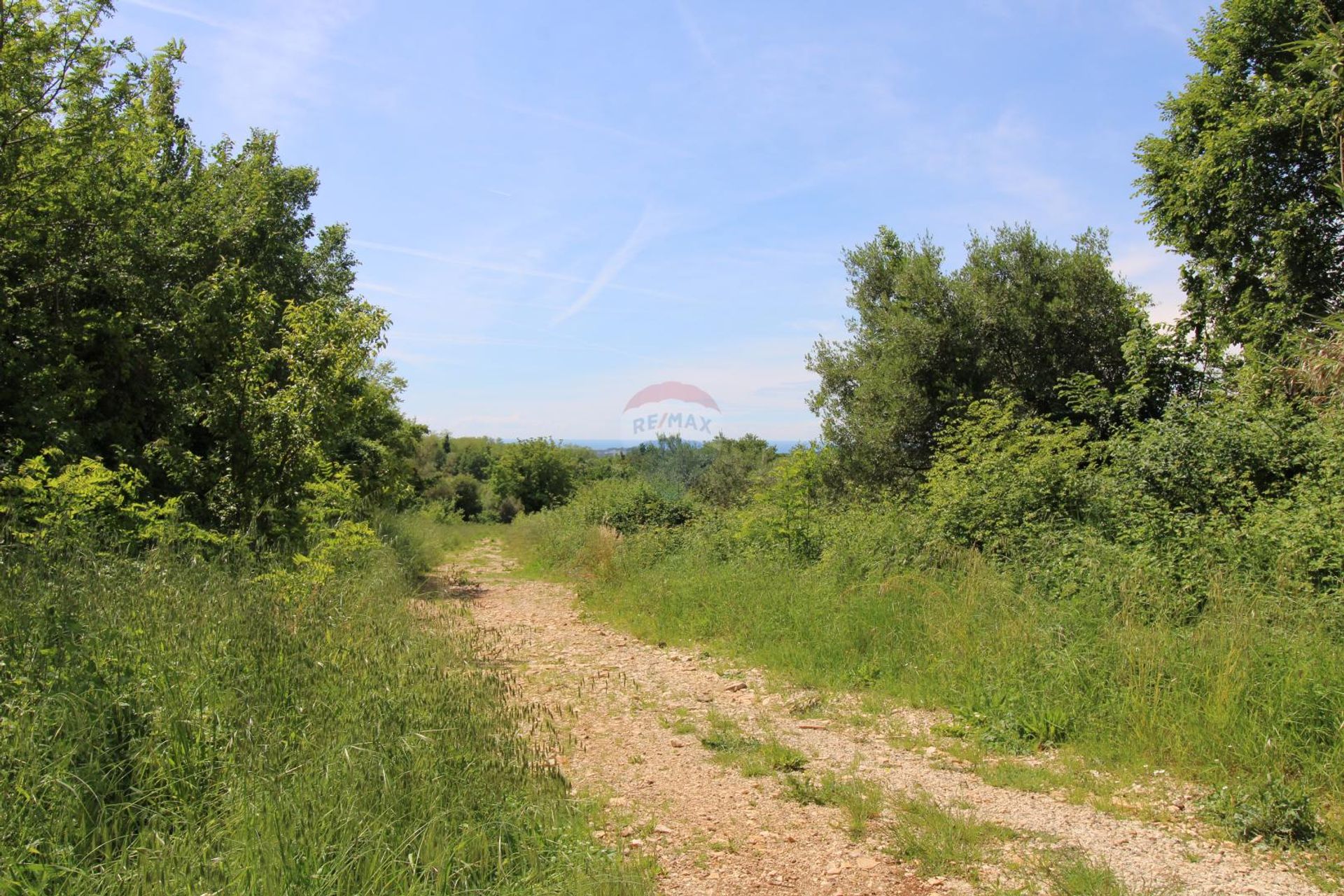 Tierra en Alquitrán, Istarska Županija 12639663