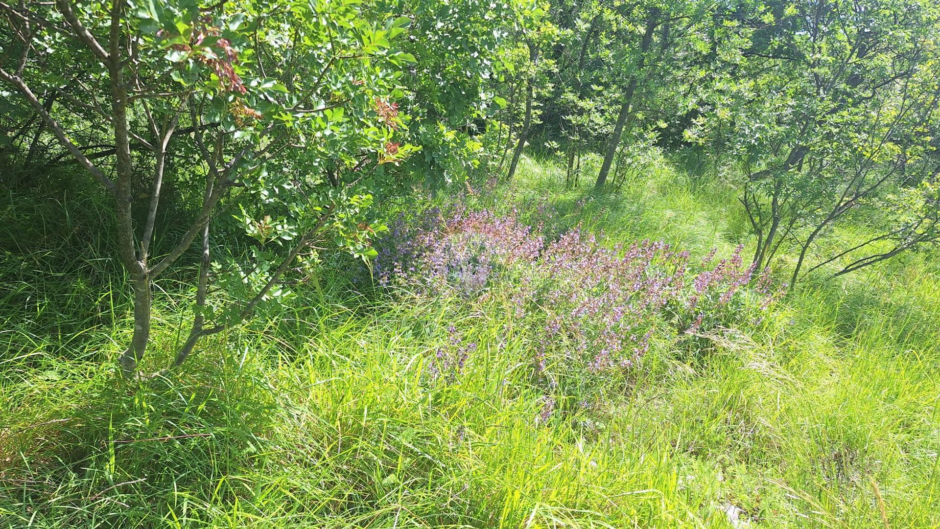 Land in Kraljevica, Primorsko-goranska županija 12639683