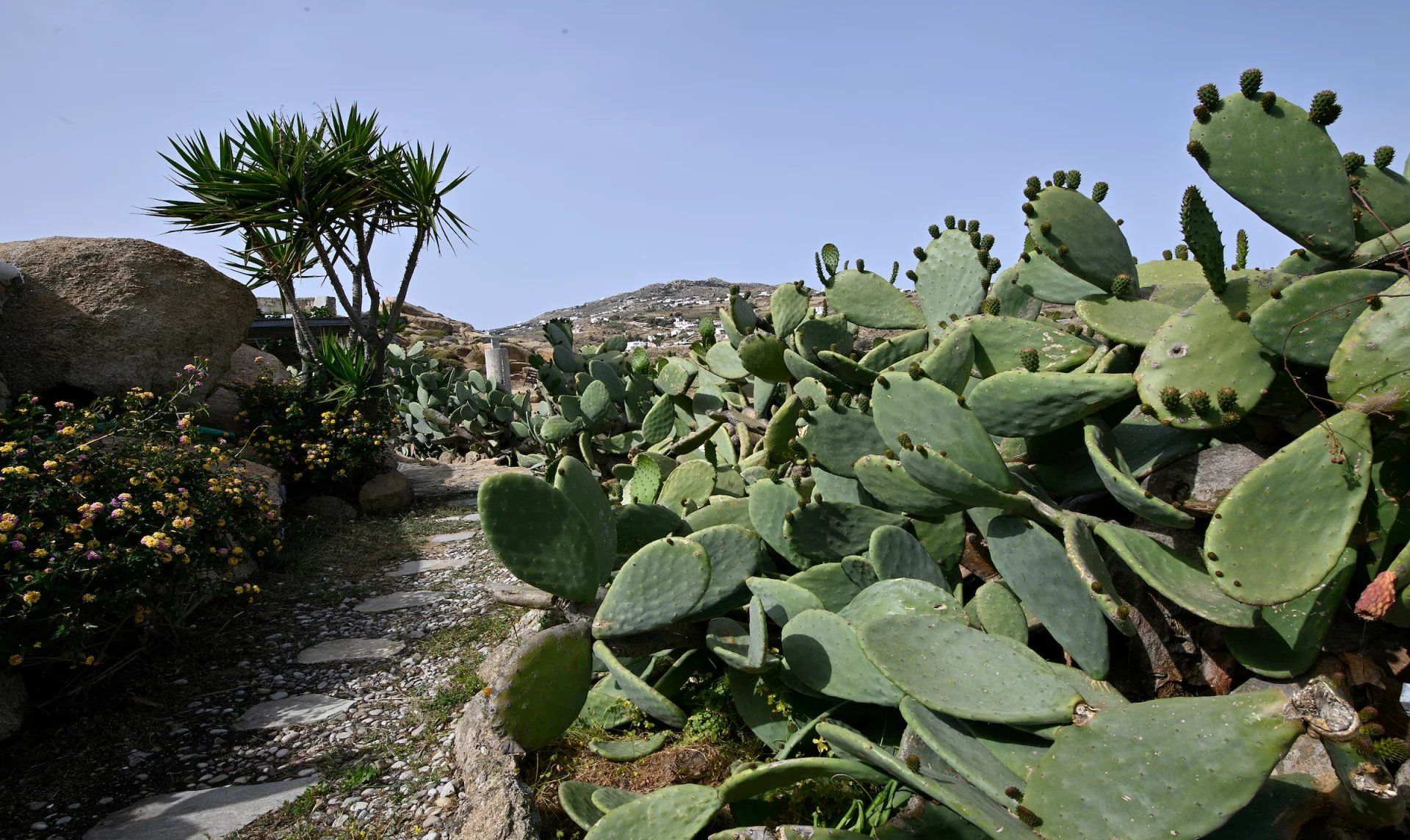 rumah dalam Mykonos, South Aegean 12639719