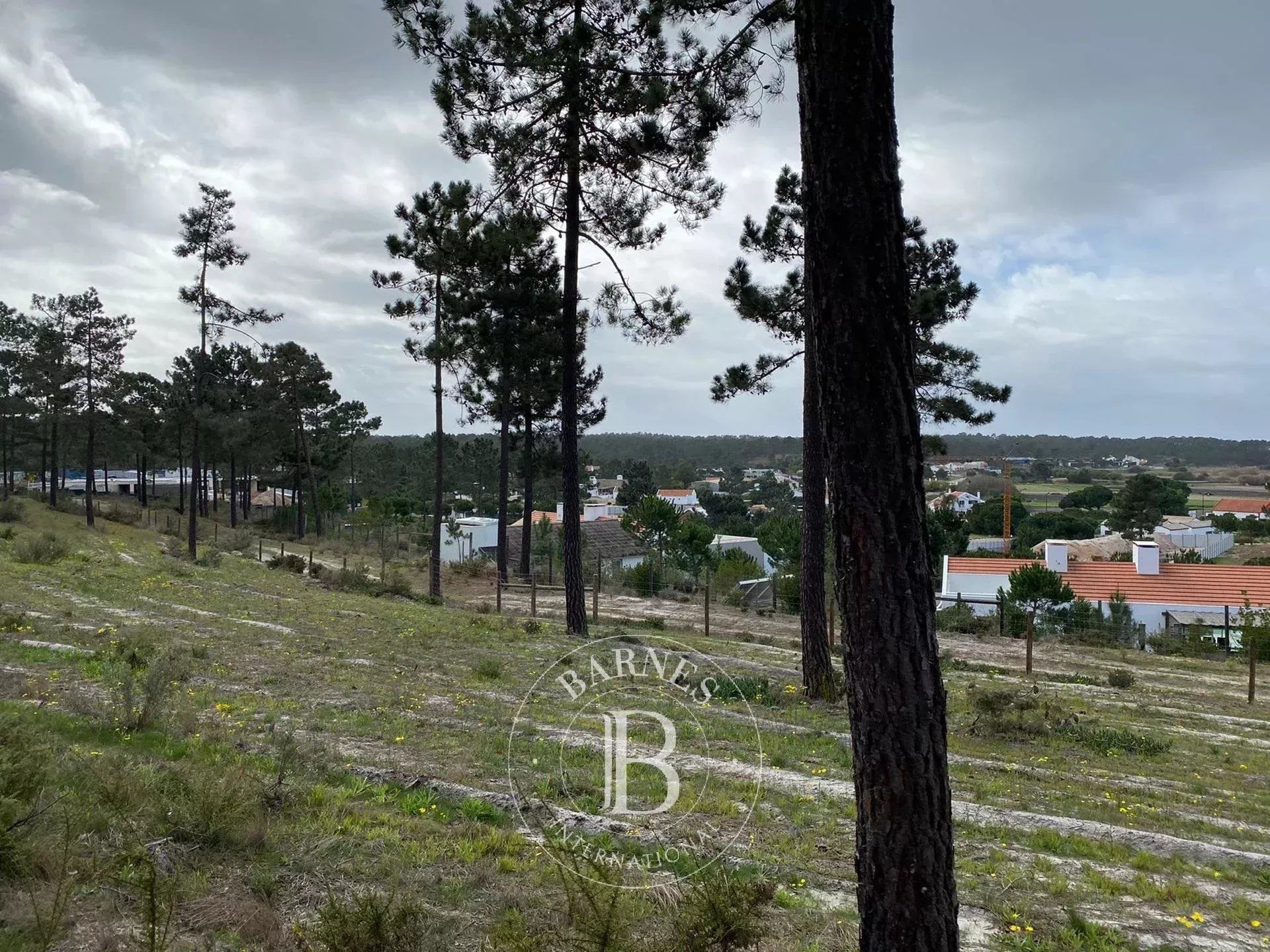 Tanah dalam Grândola, Setúbal 12641983