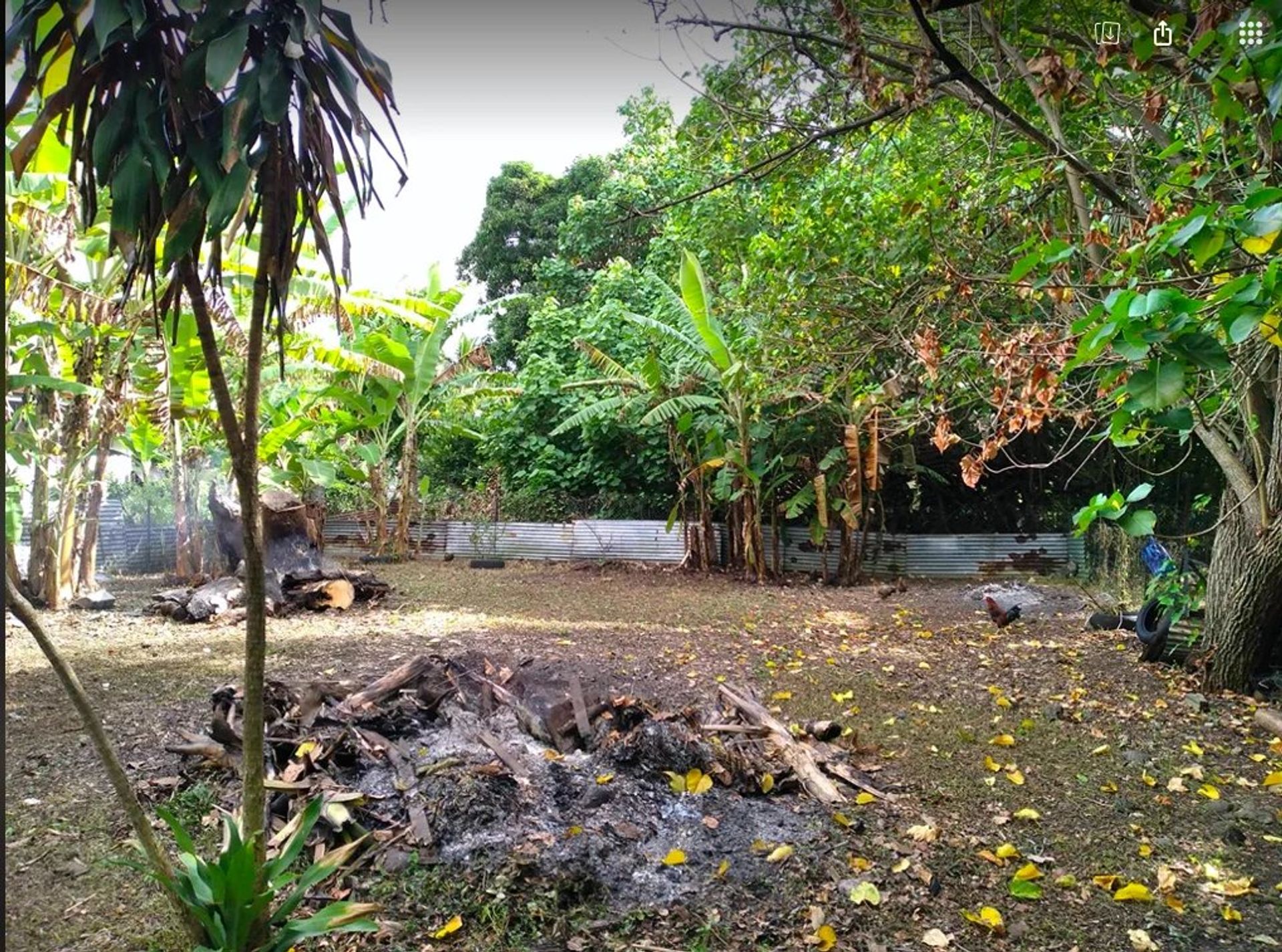 Tanah di Papeete, Îles du Vent 12642121