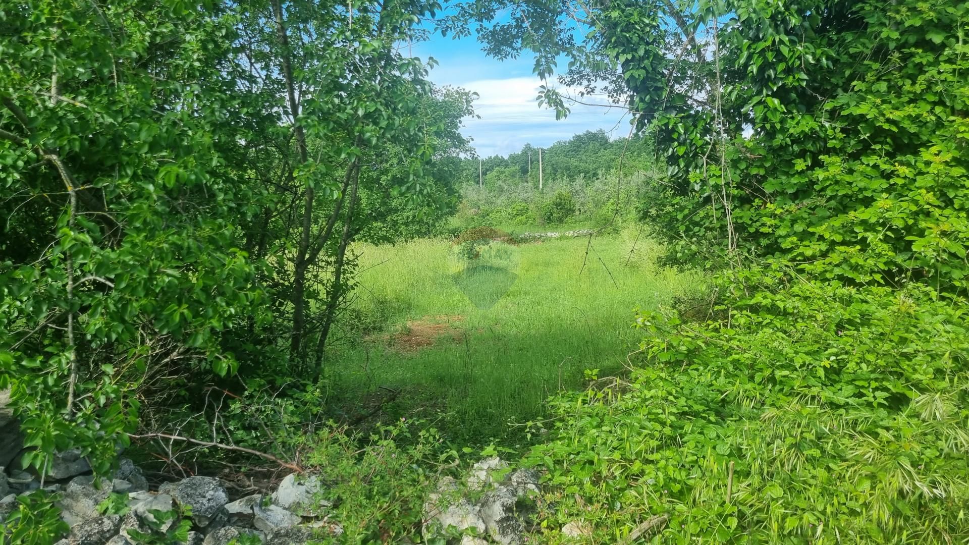 Land in Krnica, Istarska županija 12642869