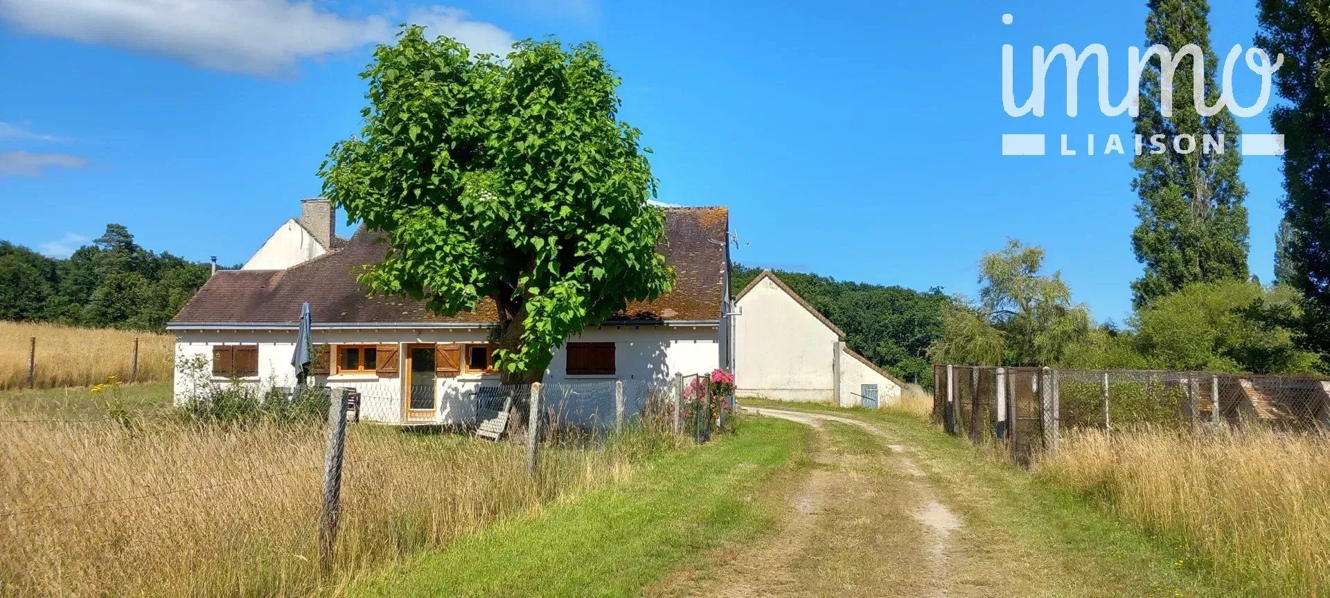 Inny w La Ferté-Saint-Cyr, Loir-et-Cher 12643044