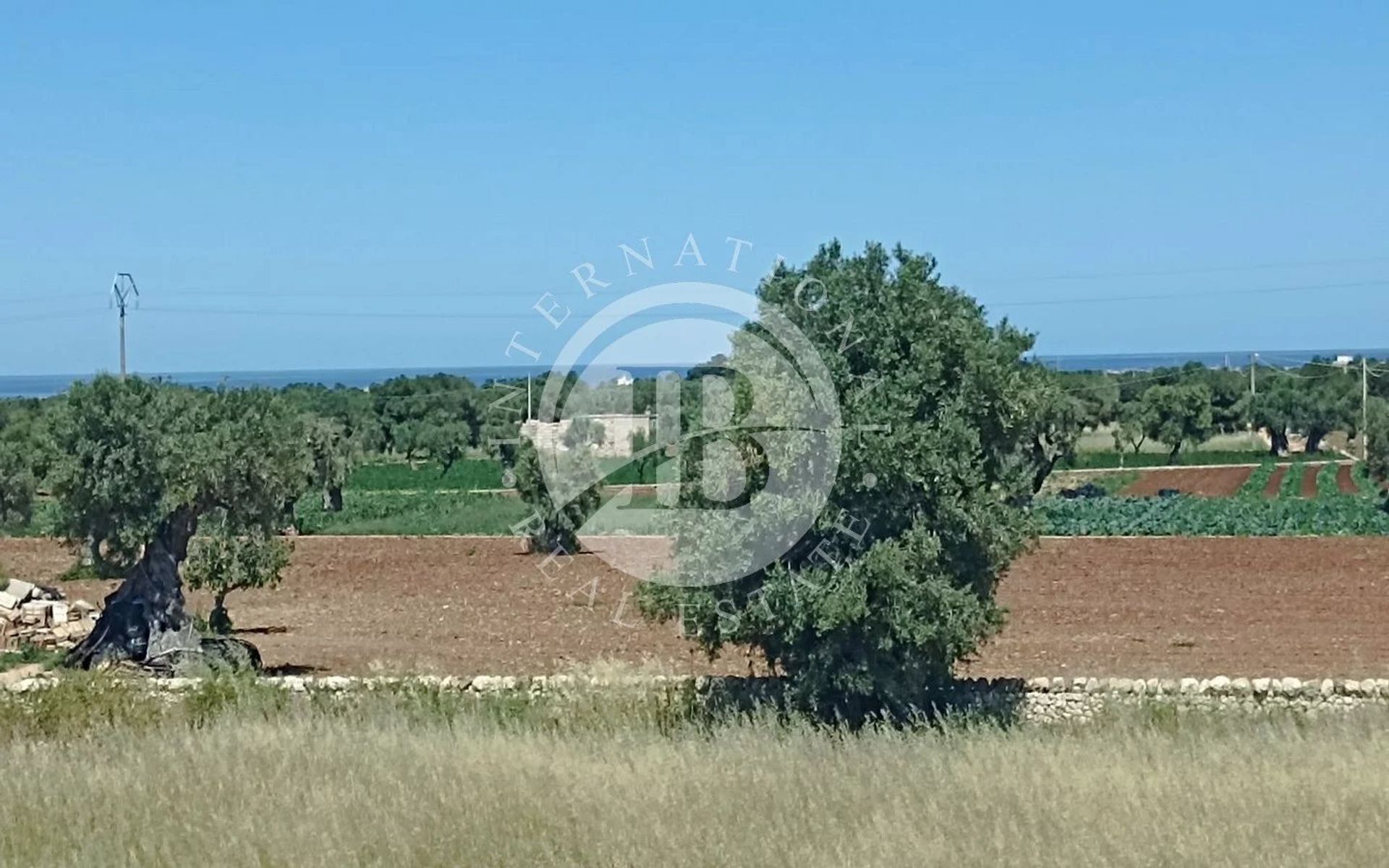 Huis in Fasano, Puglia 12644145