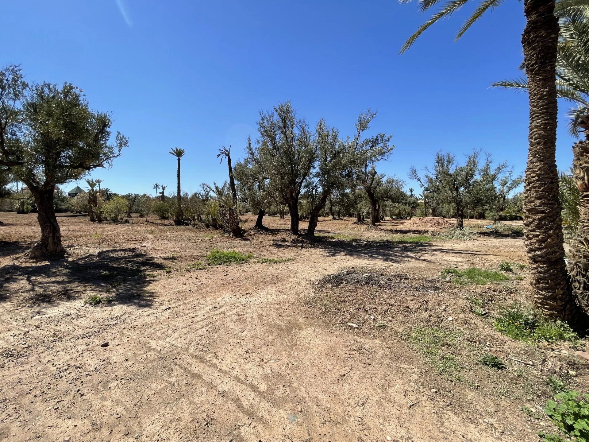 rumah dalam Marrakech, Marrakech-Ménara 12644969