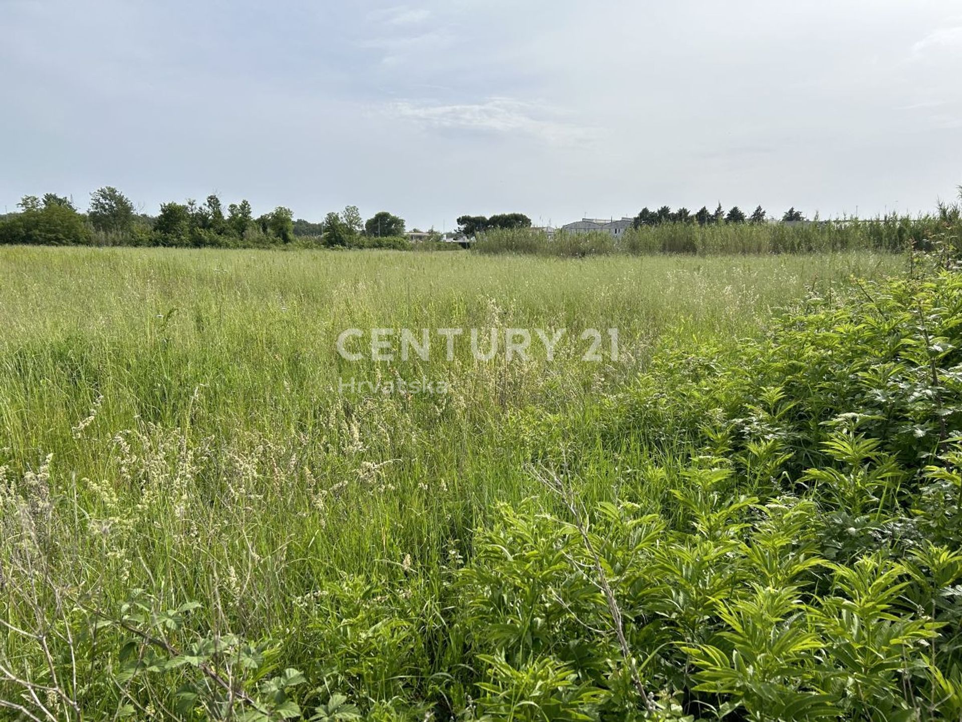 Land in Umag, Istarska Zupanija 12646629