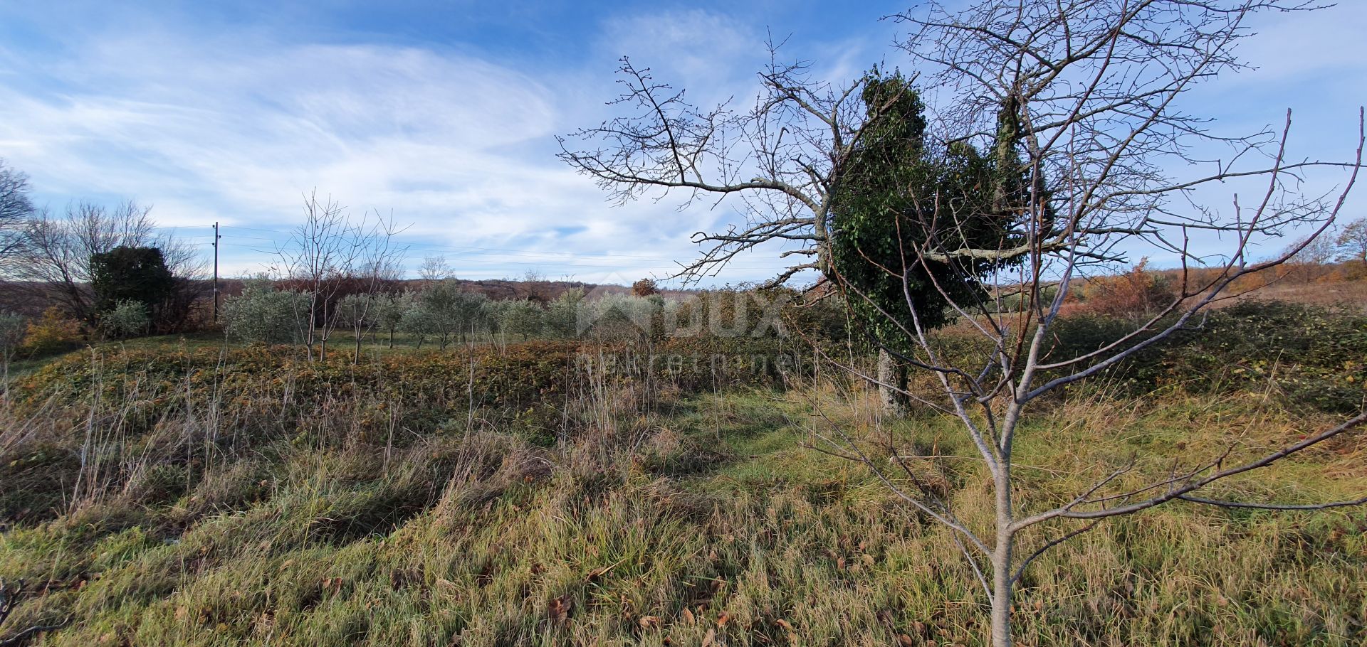 Land im Barban, Istria County 12646668