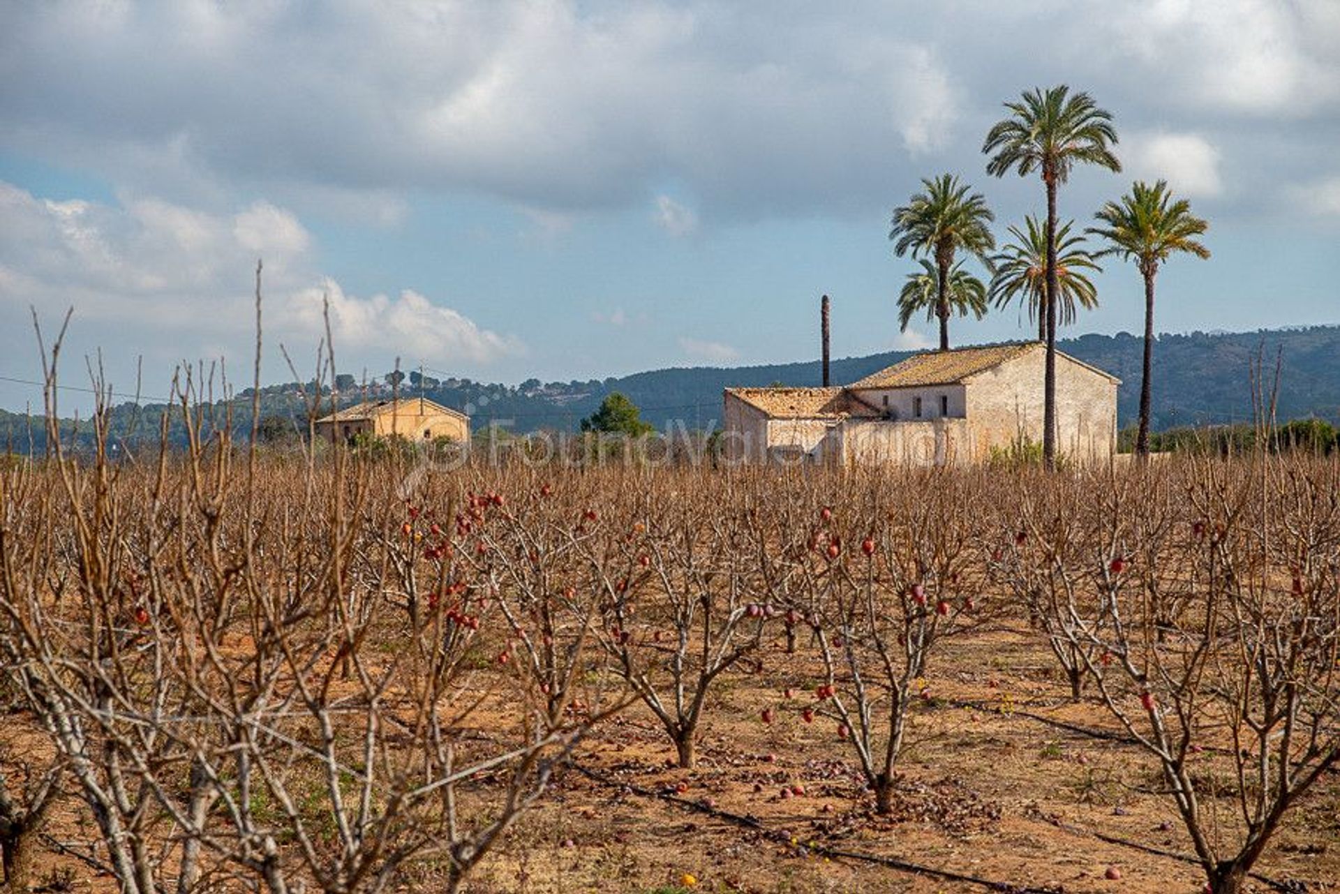 Rumah di Carcaixent, Valencian Community 12647291