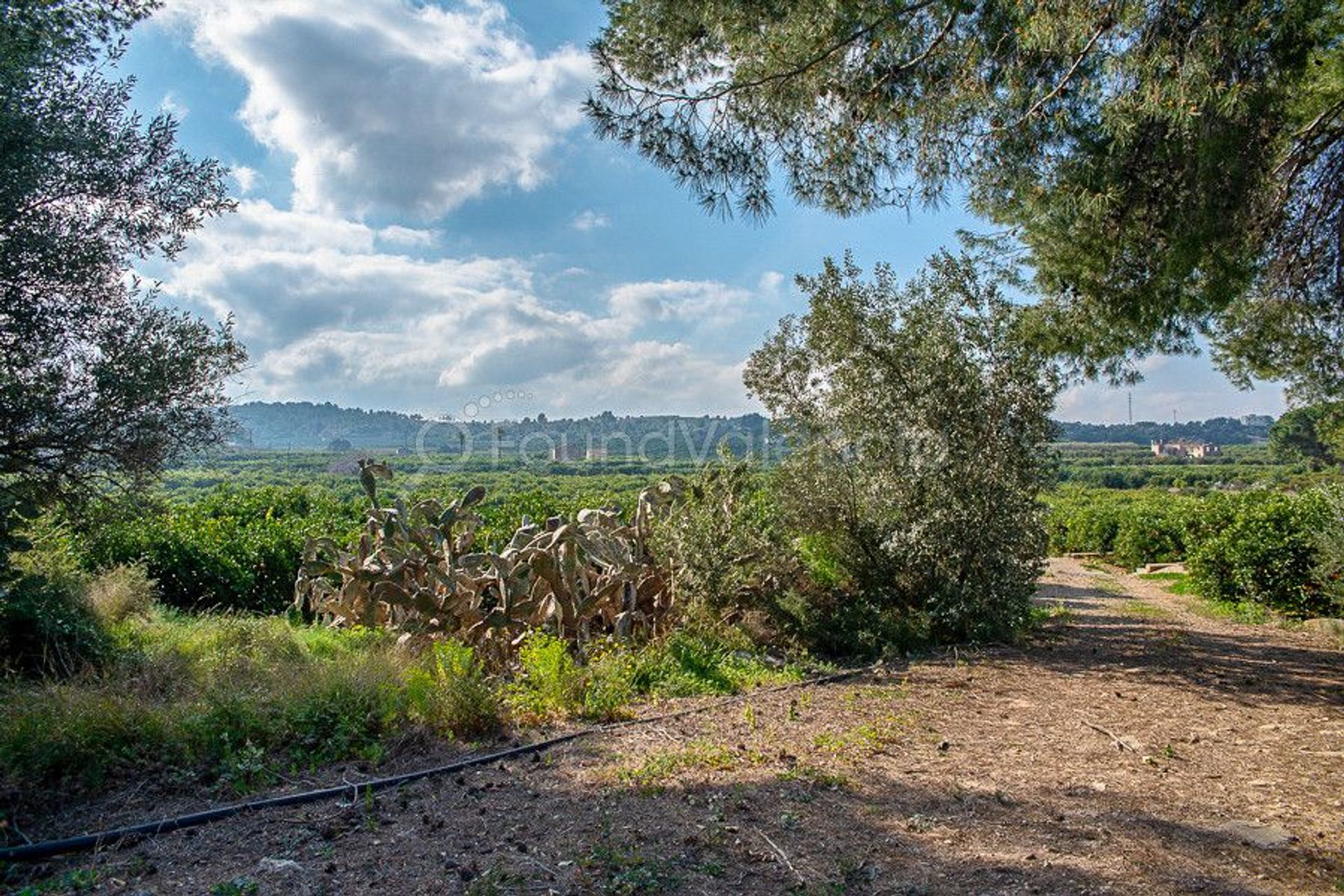 Rumah di Carcaixent, Valencian Community 12647291