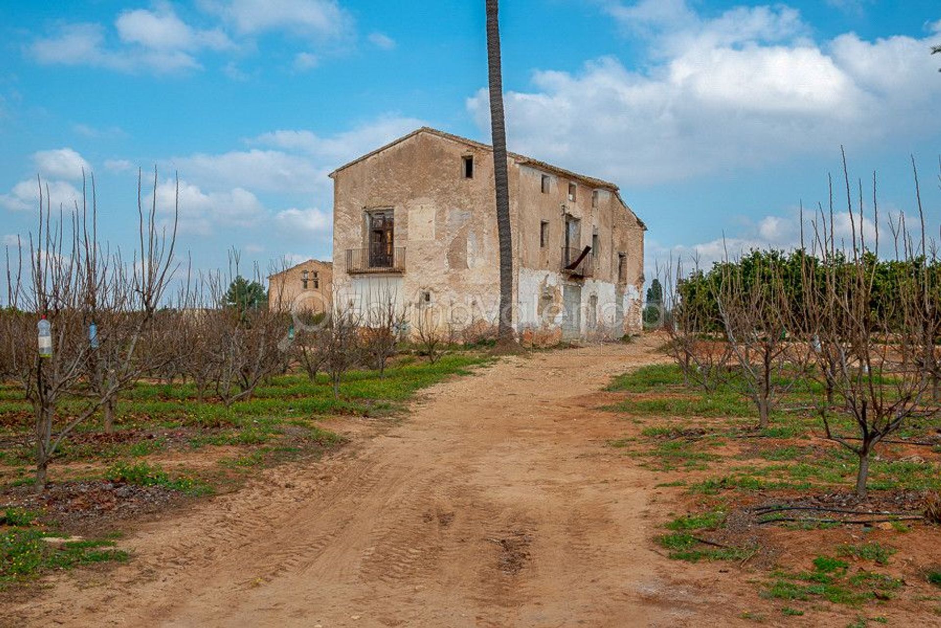 Rumah di Carcaixent, Valencian Community 12647291