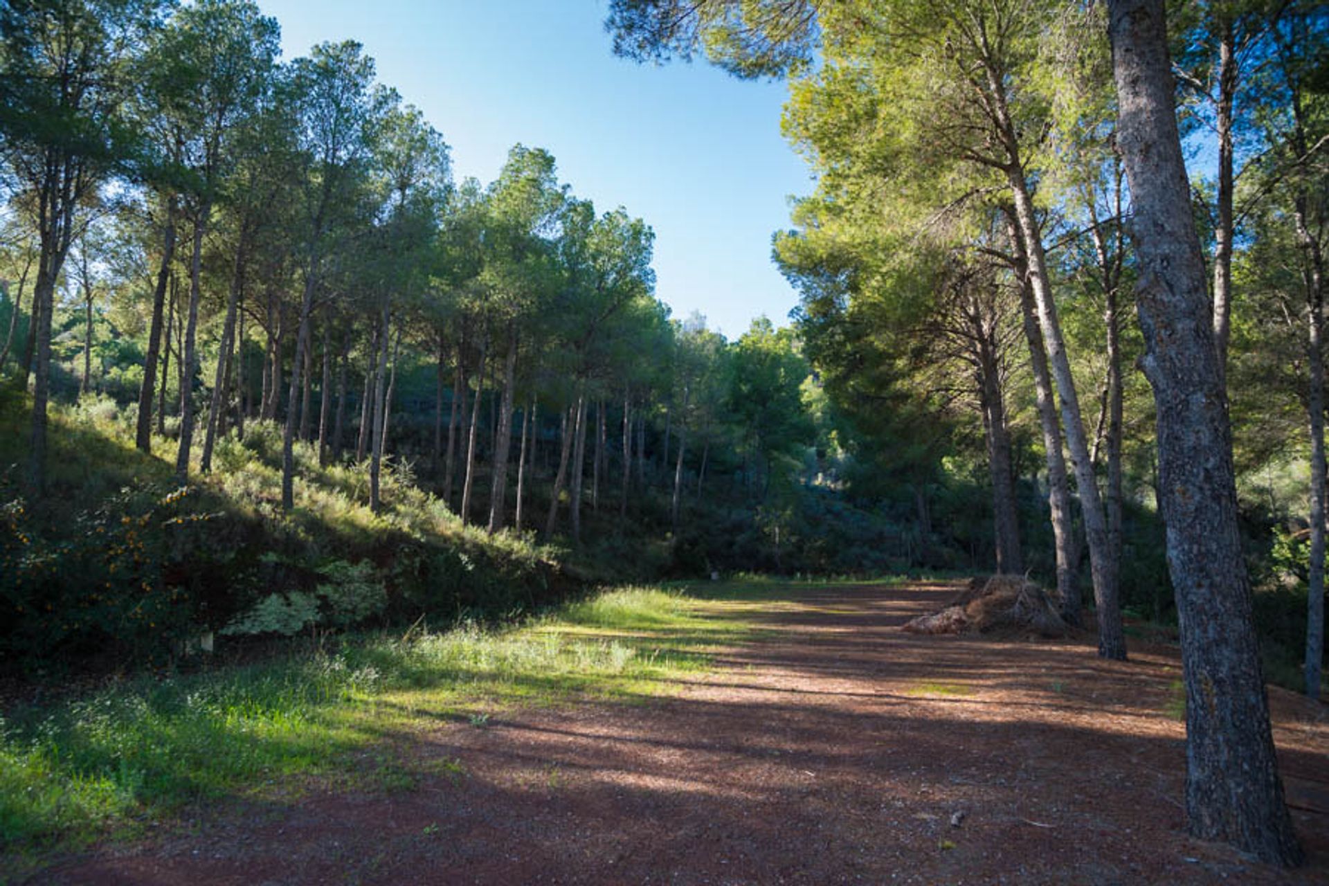 Huis in Náquera, Valencian Community 12647327