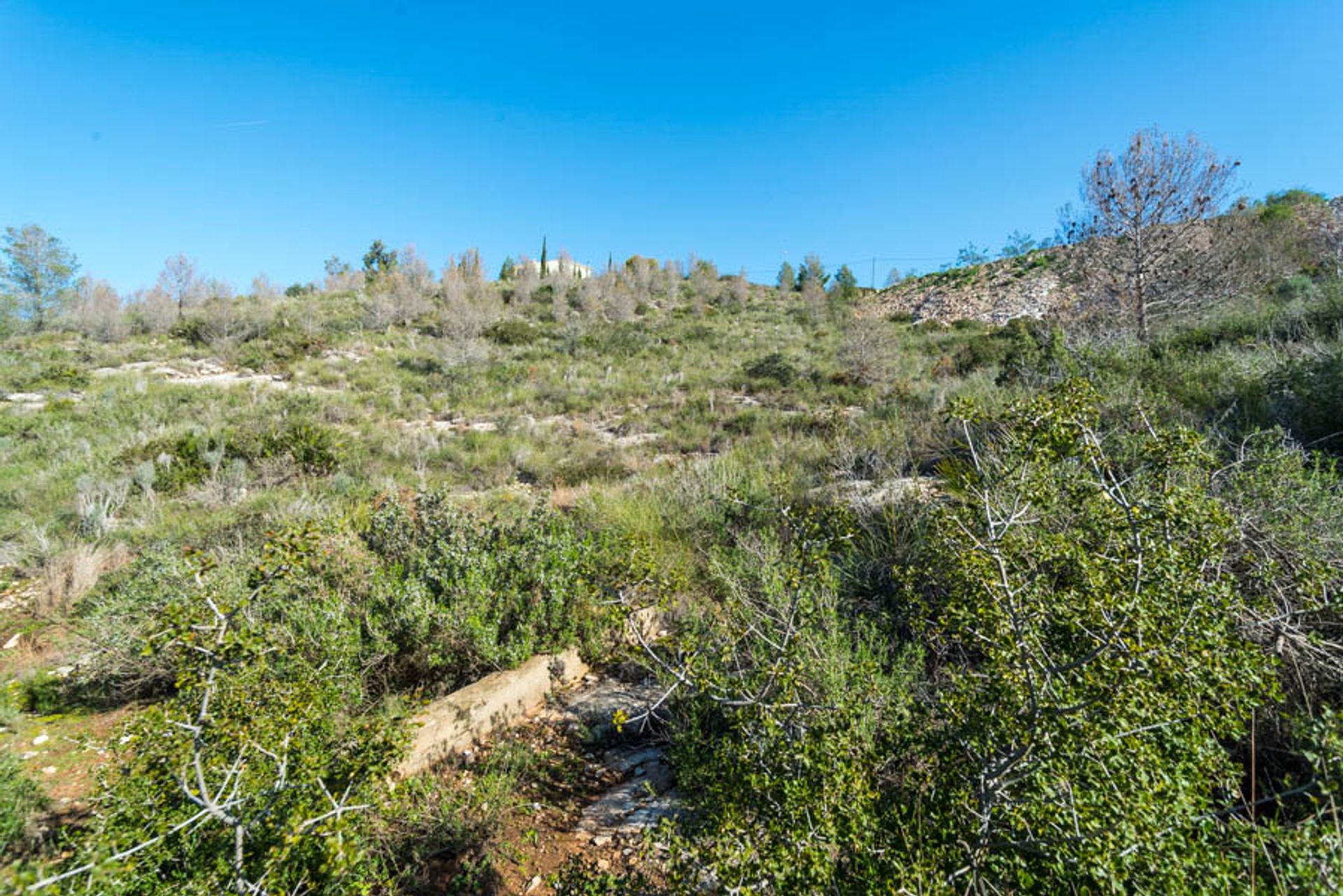 Terre dans Albérique, Valence 12647349