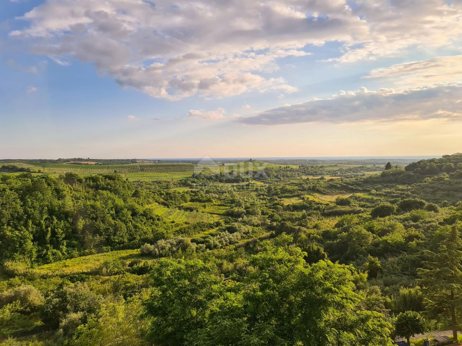 सम्मिलित में Buje, Istria County 12648626