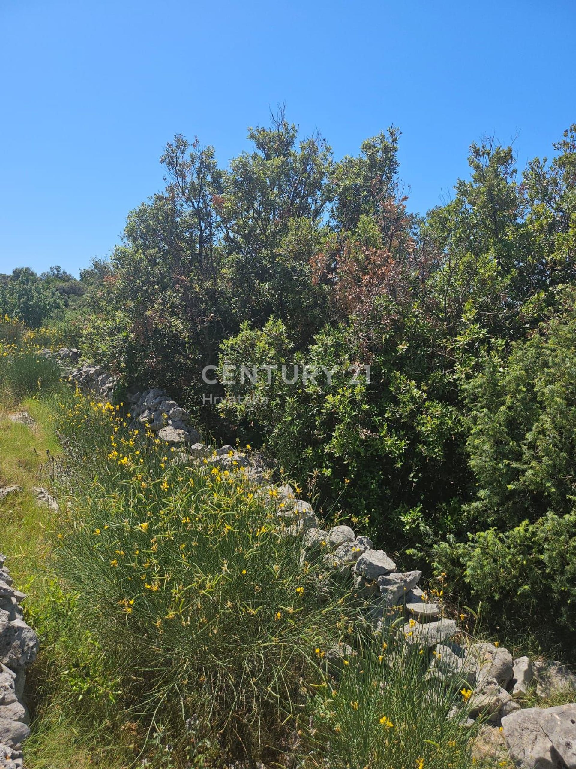 Land i Marina, Splitsko-Dalmatinska Zupanija 12650667