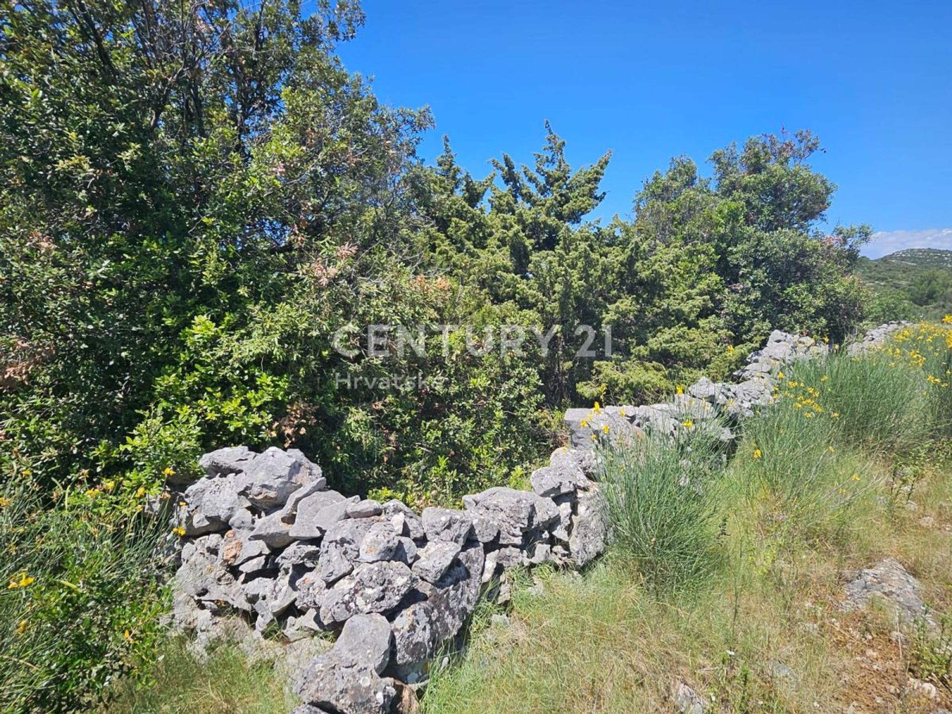 Land i Marina, Splitsko-Dalmatinska Zupanija 12650667