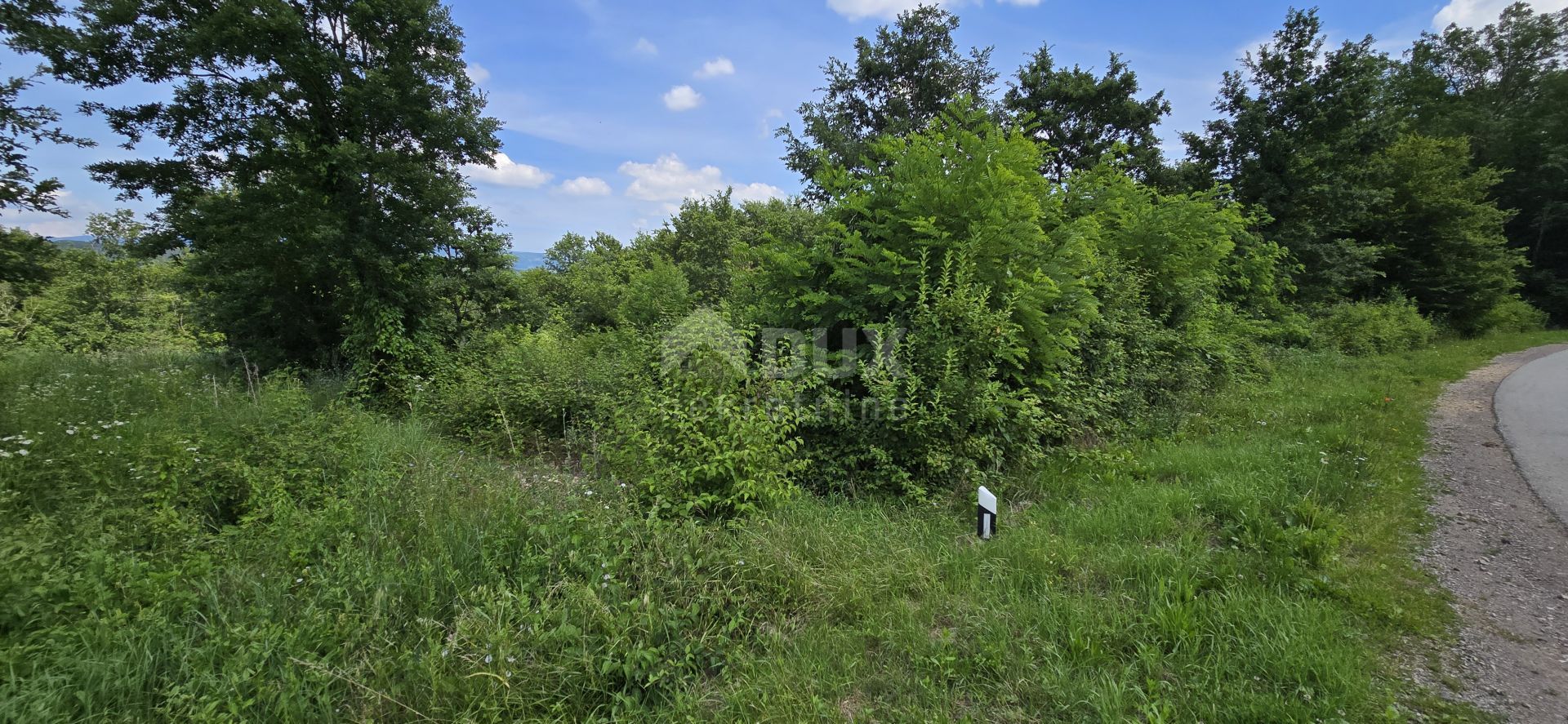 Land im Pićan, Istria County 12651241