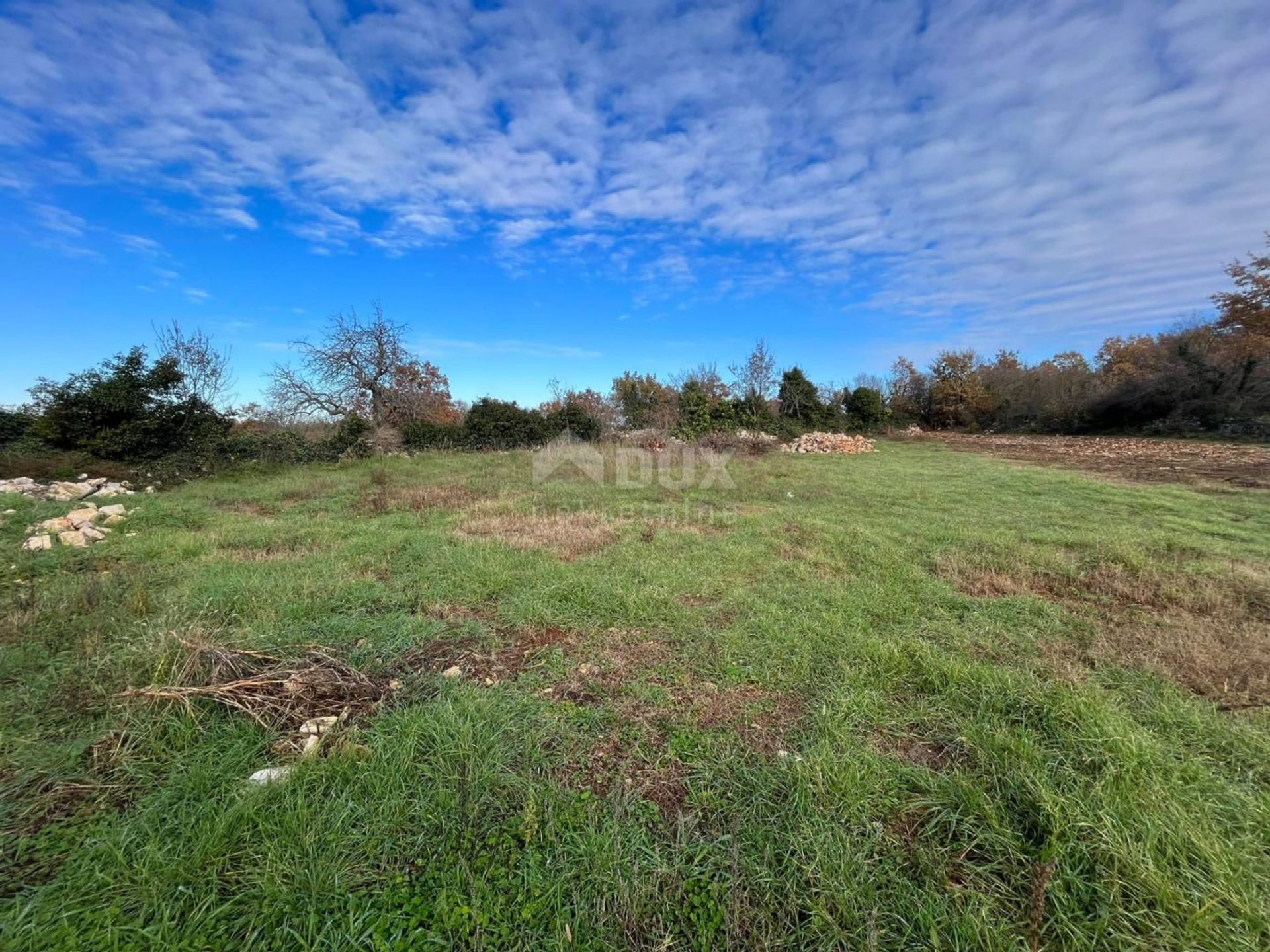 Tierra en Svetvinčenat, Istria County 12651330