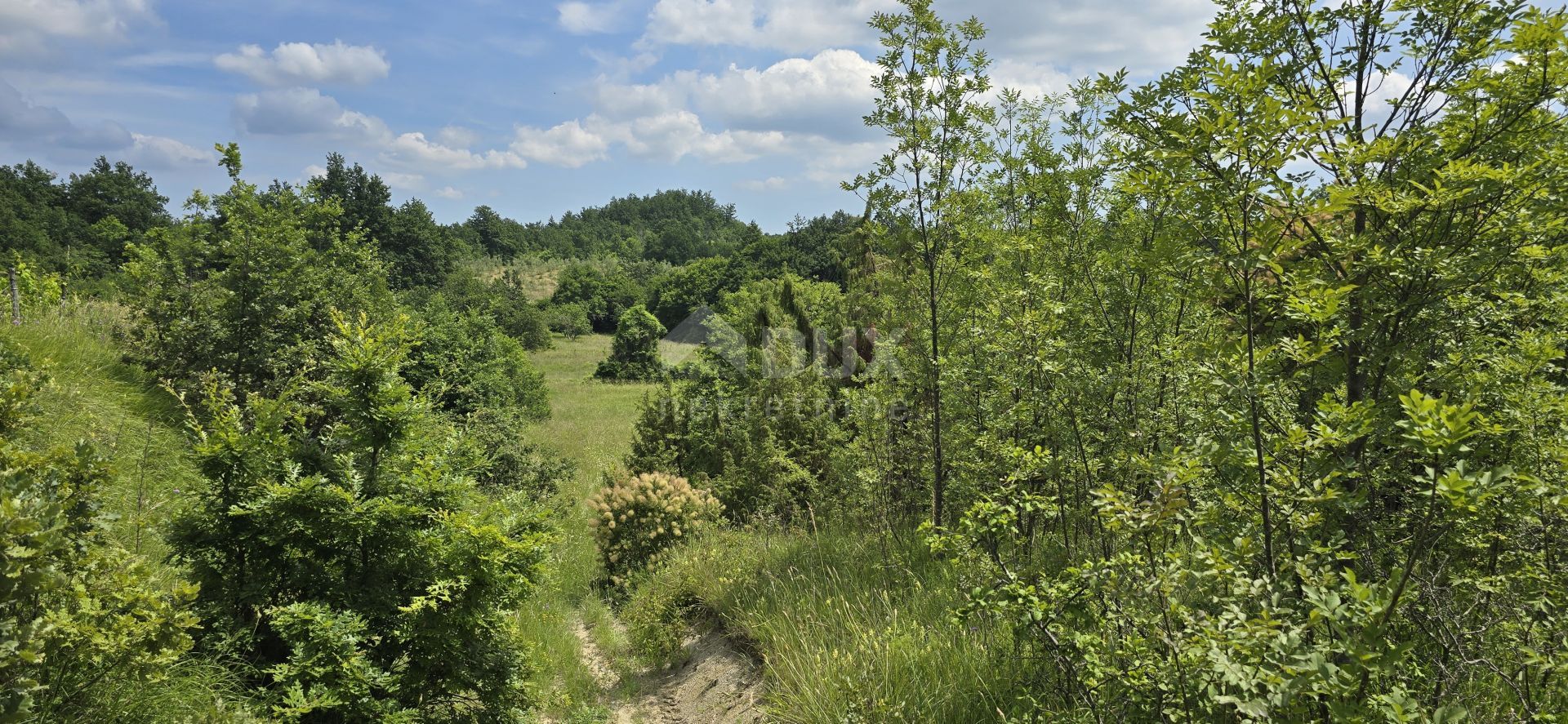 Land in Pićan, Istria County 12651343