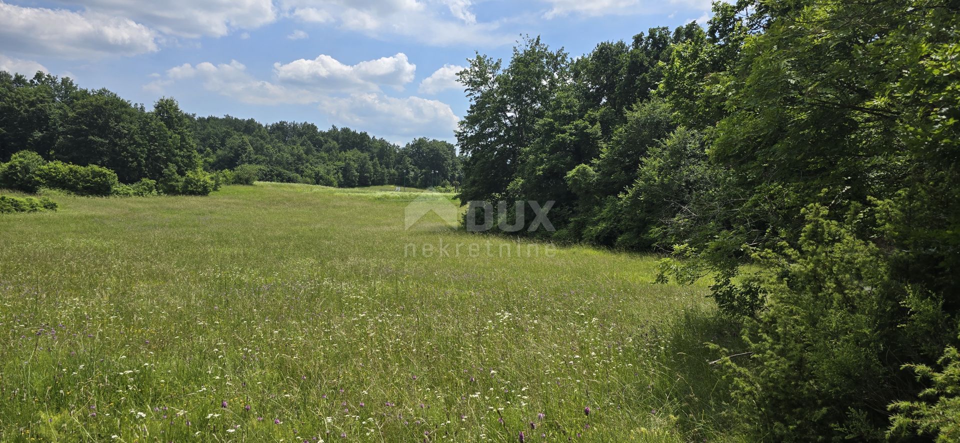 Land in Pićan, Istria County 12651343