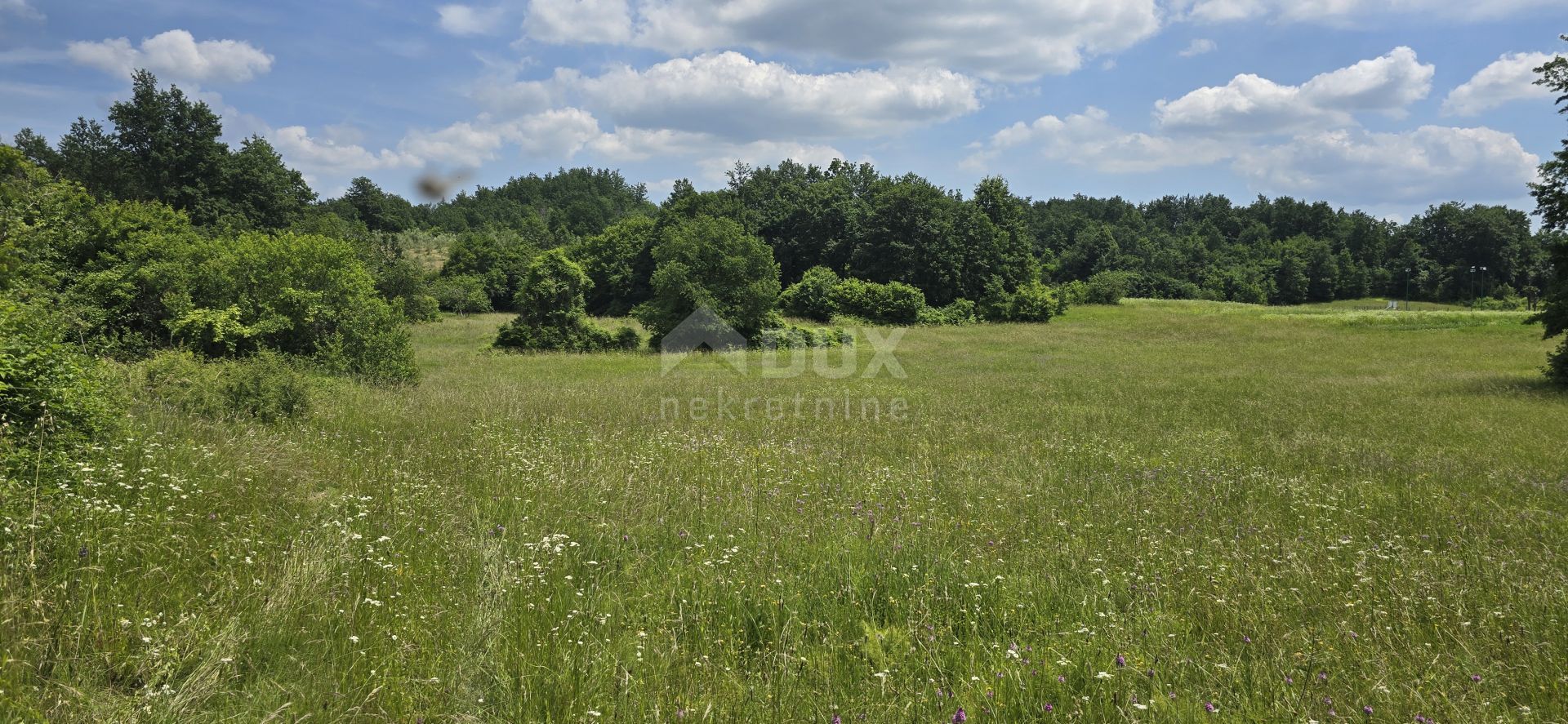 Land in Pićan, Istria County 12651343