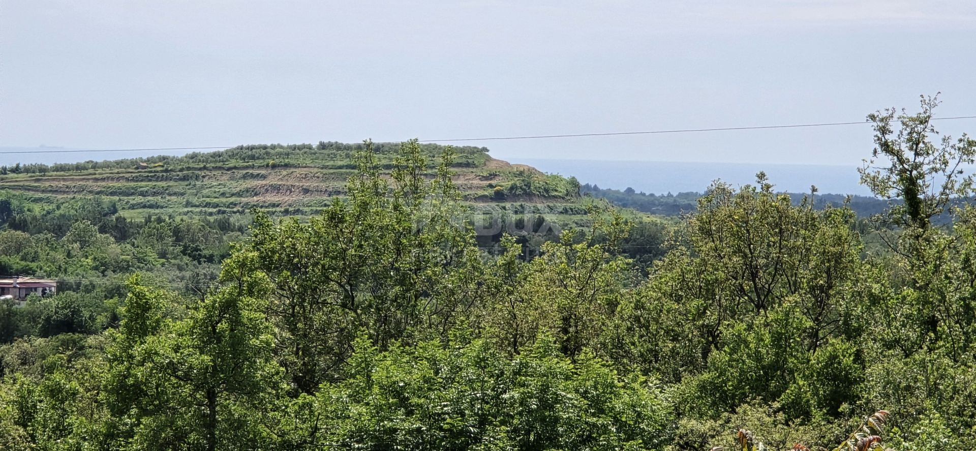 Terra no Buje, Istria County 12651430