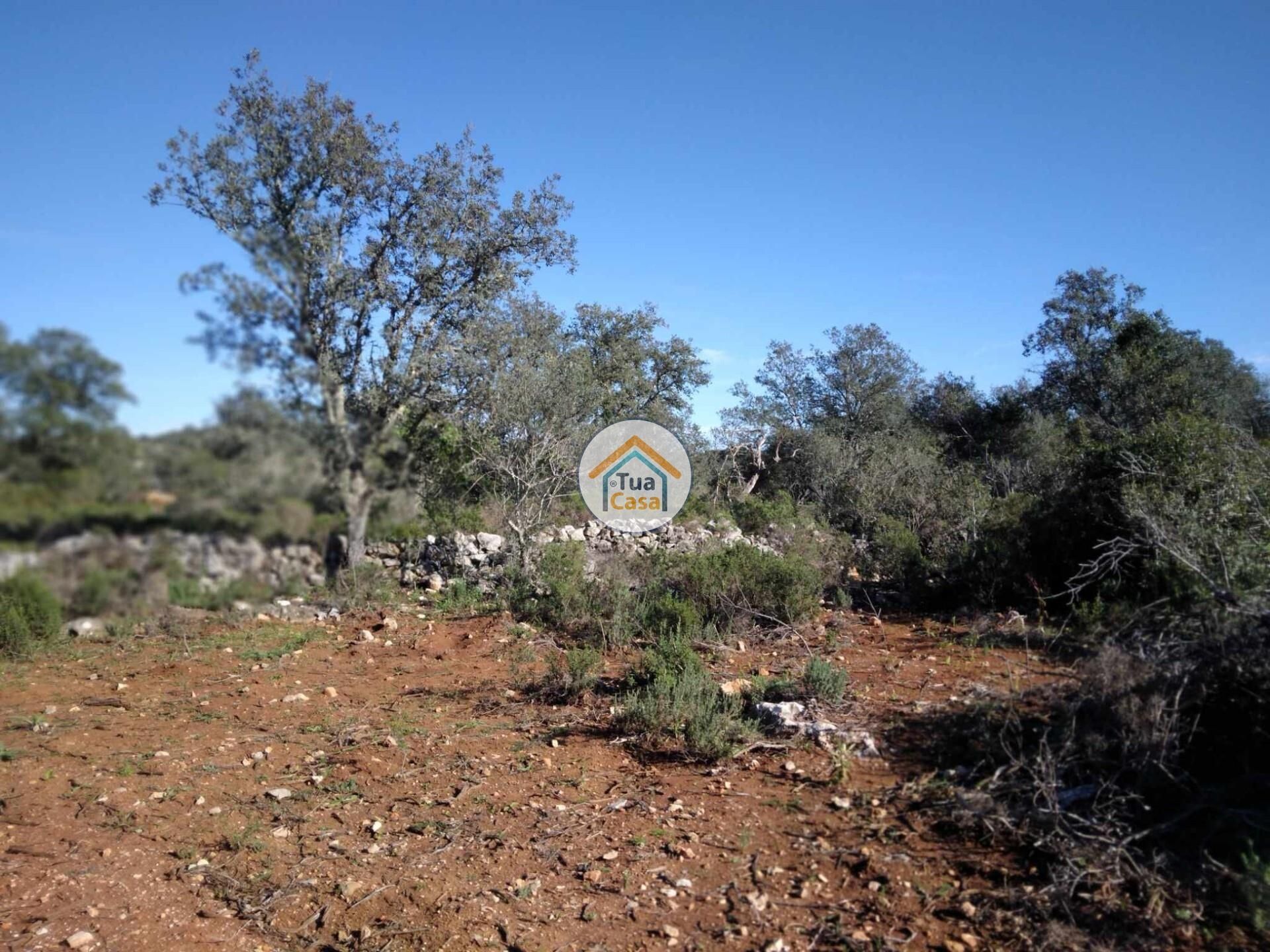 Land in São Brás de Alportel, Faro District 12652480