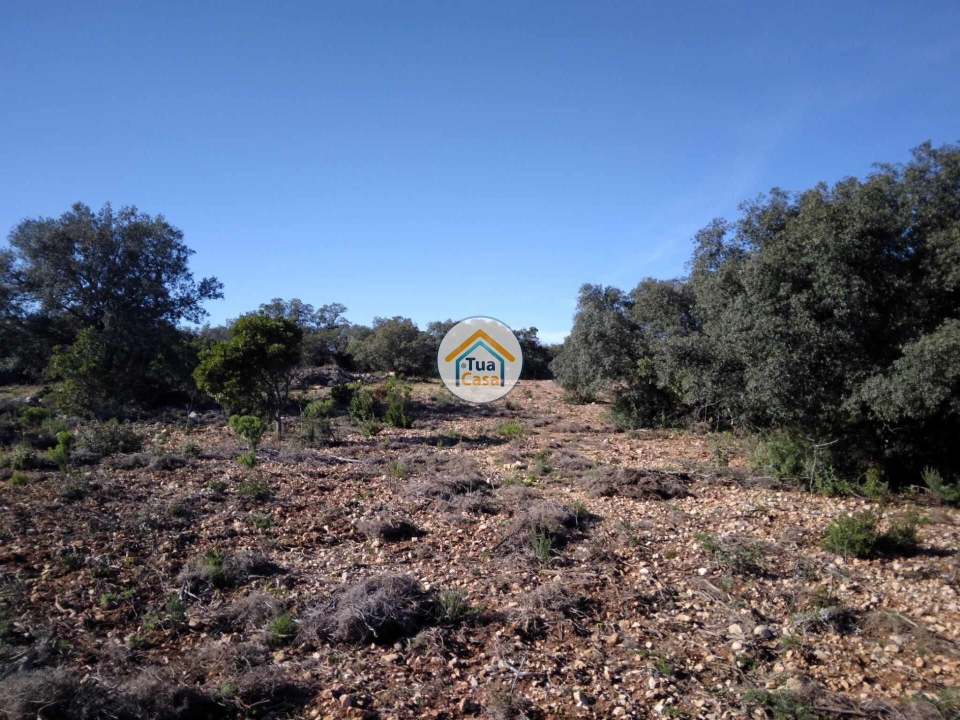 Tierra en São Brás de Alportel, Faro District 12652480