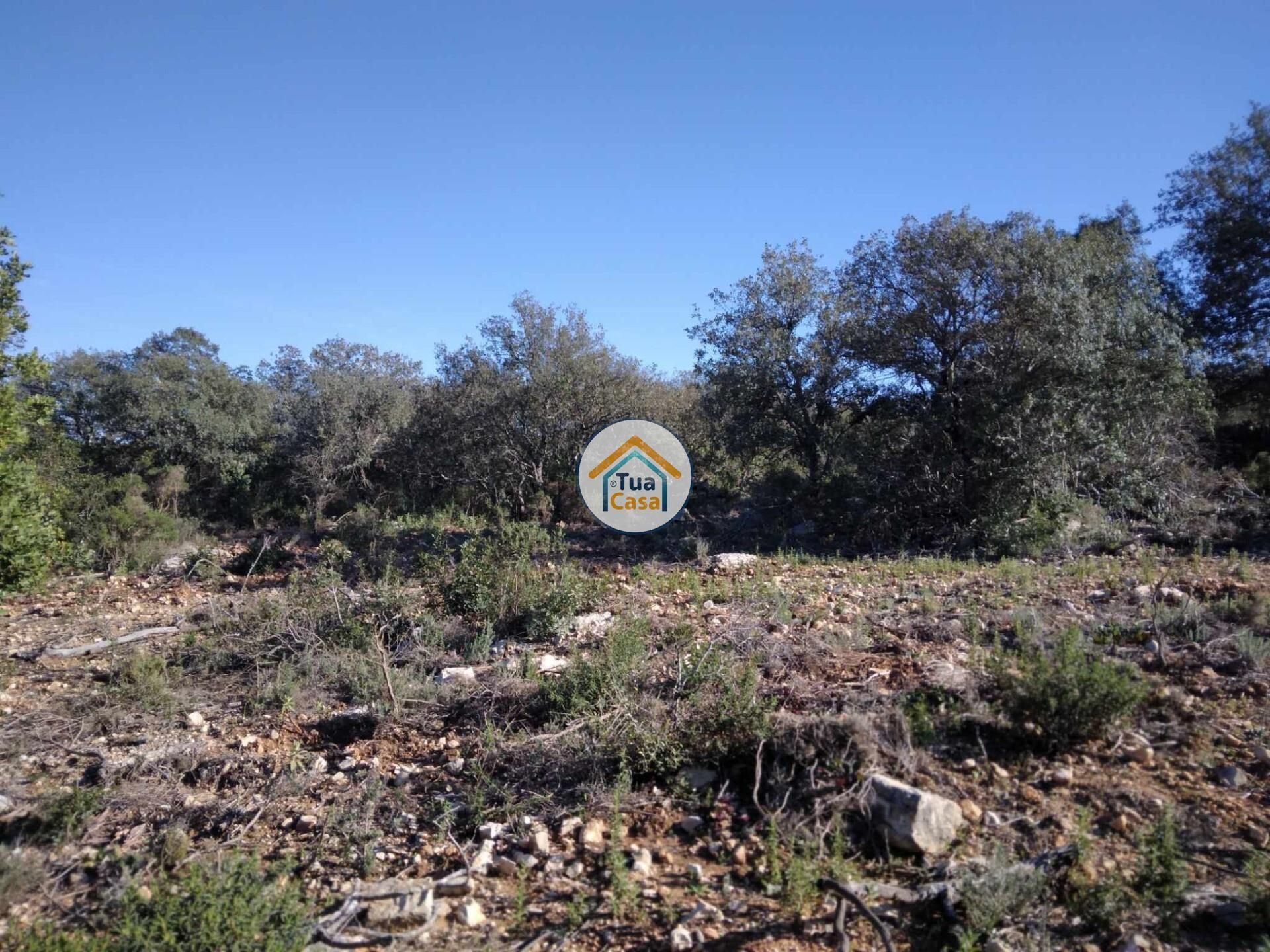 Tierra en São Brás de Alportel, Faro District 12652480