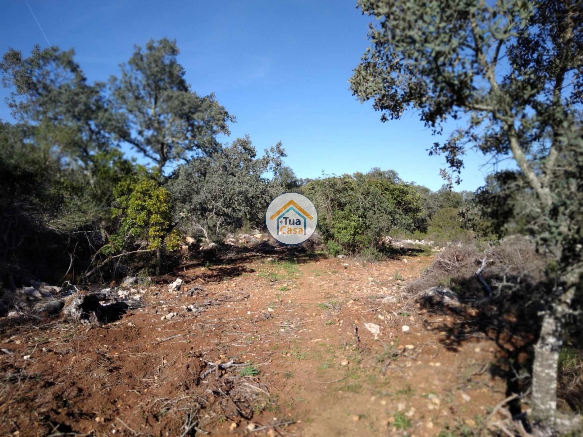 Land in São Brás de Alportel, Faro District 12652480