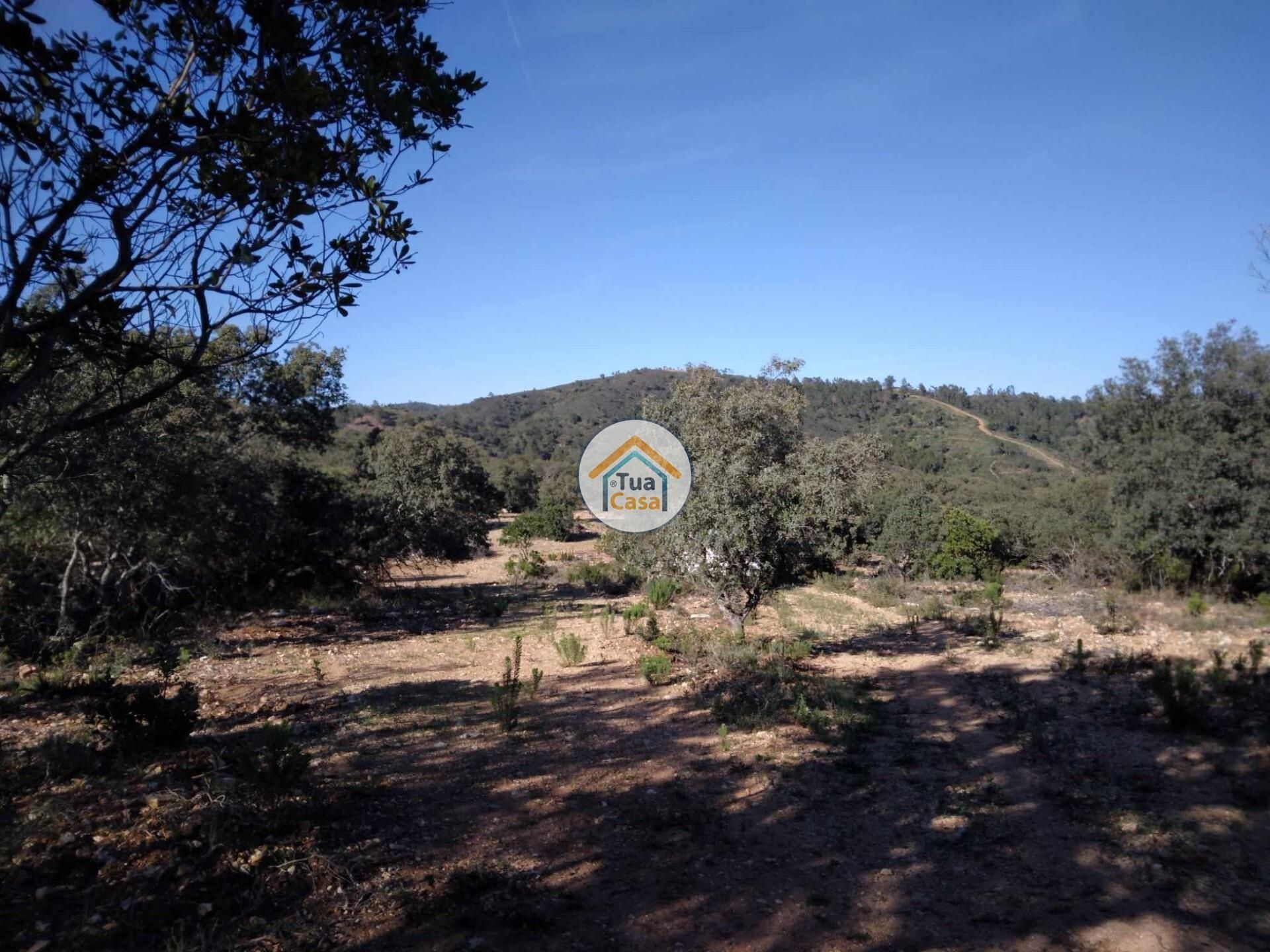 Land in São Brás de Alportel, Faro District 12652480