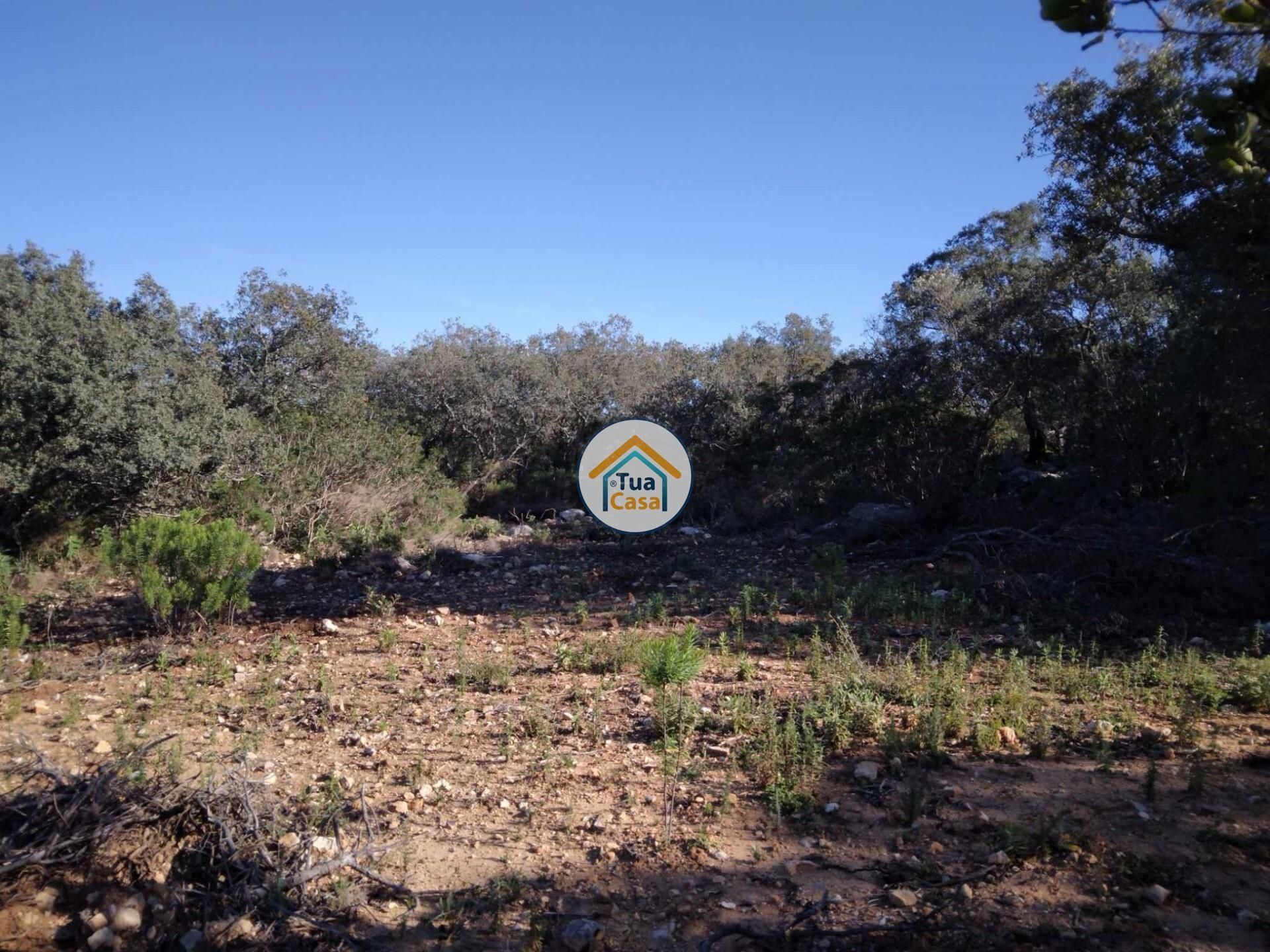 Land in São Brás de Alportel, Faro District 12652480