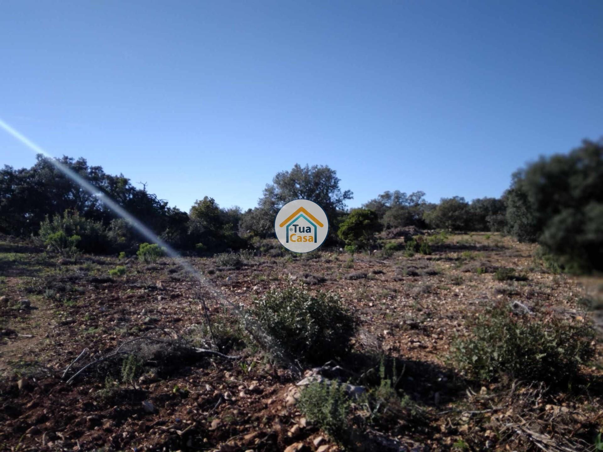 Tierra en São Brás de Alportel, Faro District 12652480