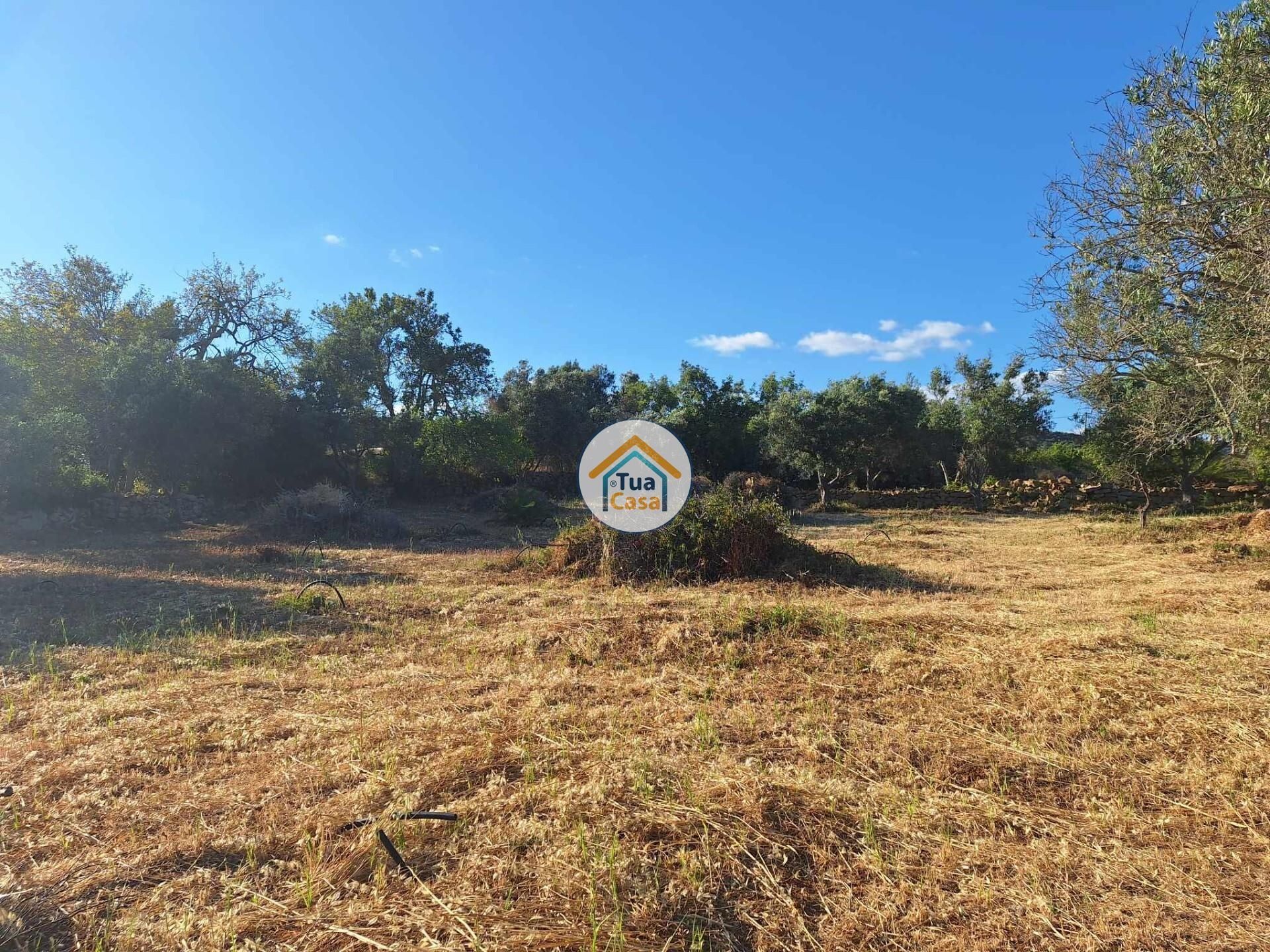 Land im Loulé, Faro District 12652482