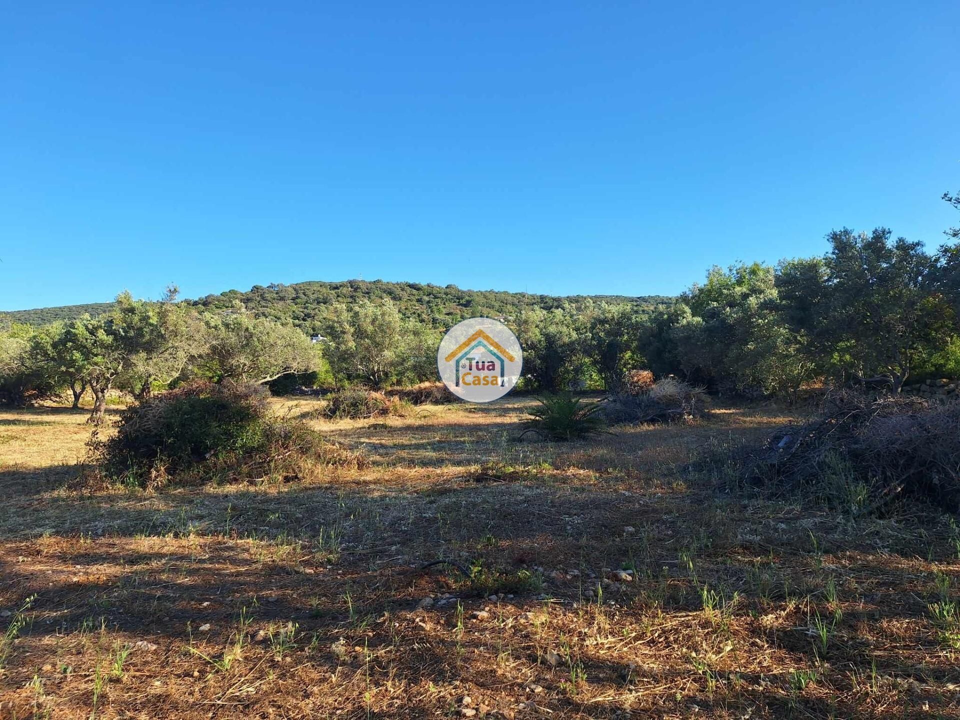 Land in Loulé, Faro District 12652482