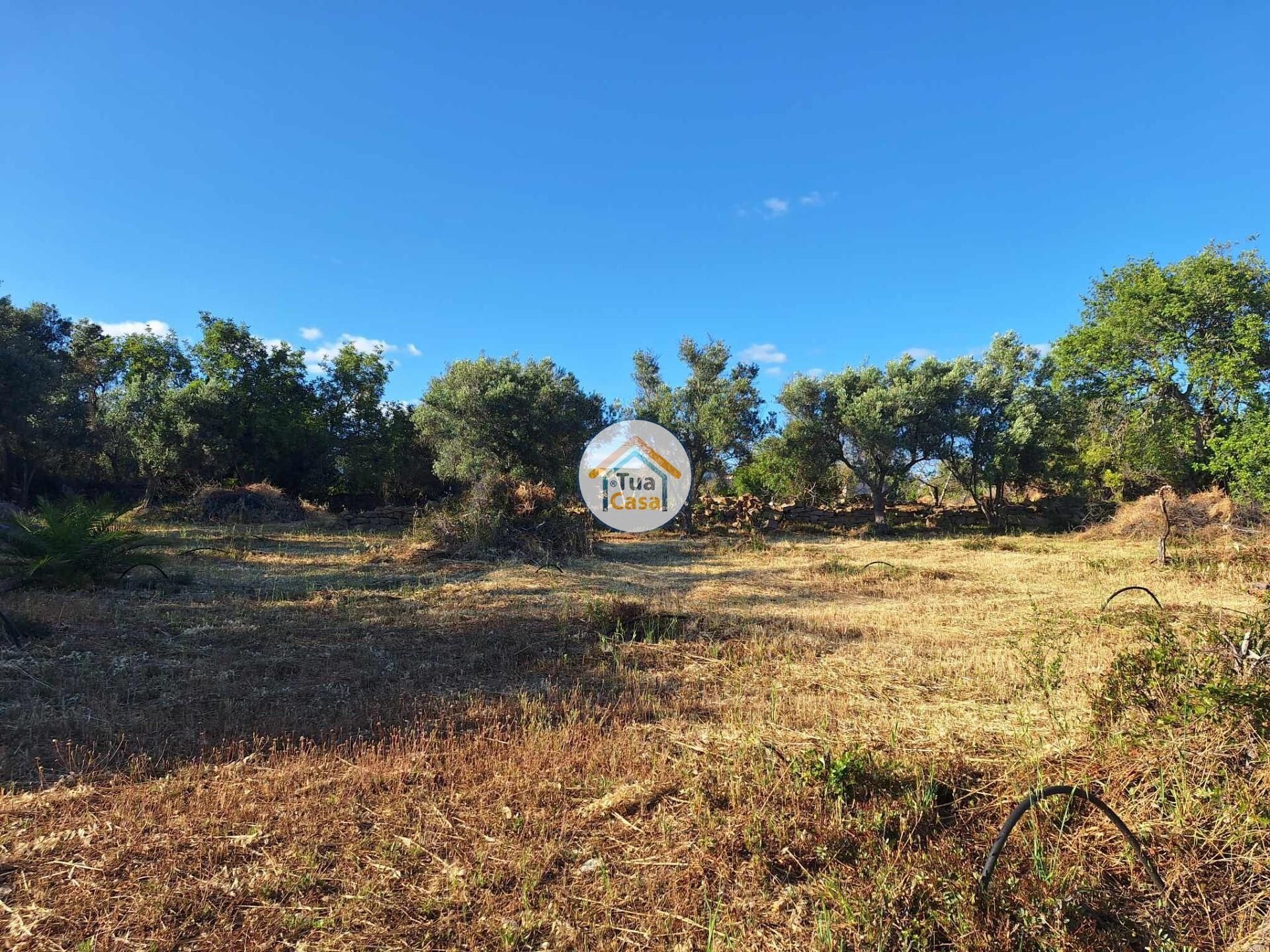 Land im Loulé, Faro District 12652482