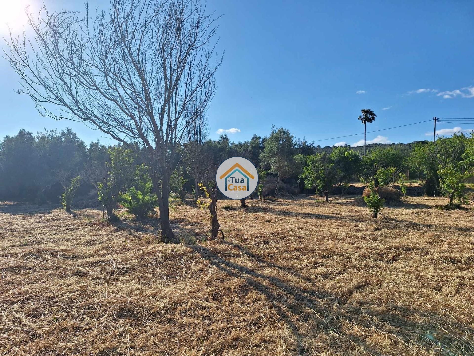 Land in Loulé, Faro District 12652482