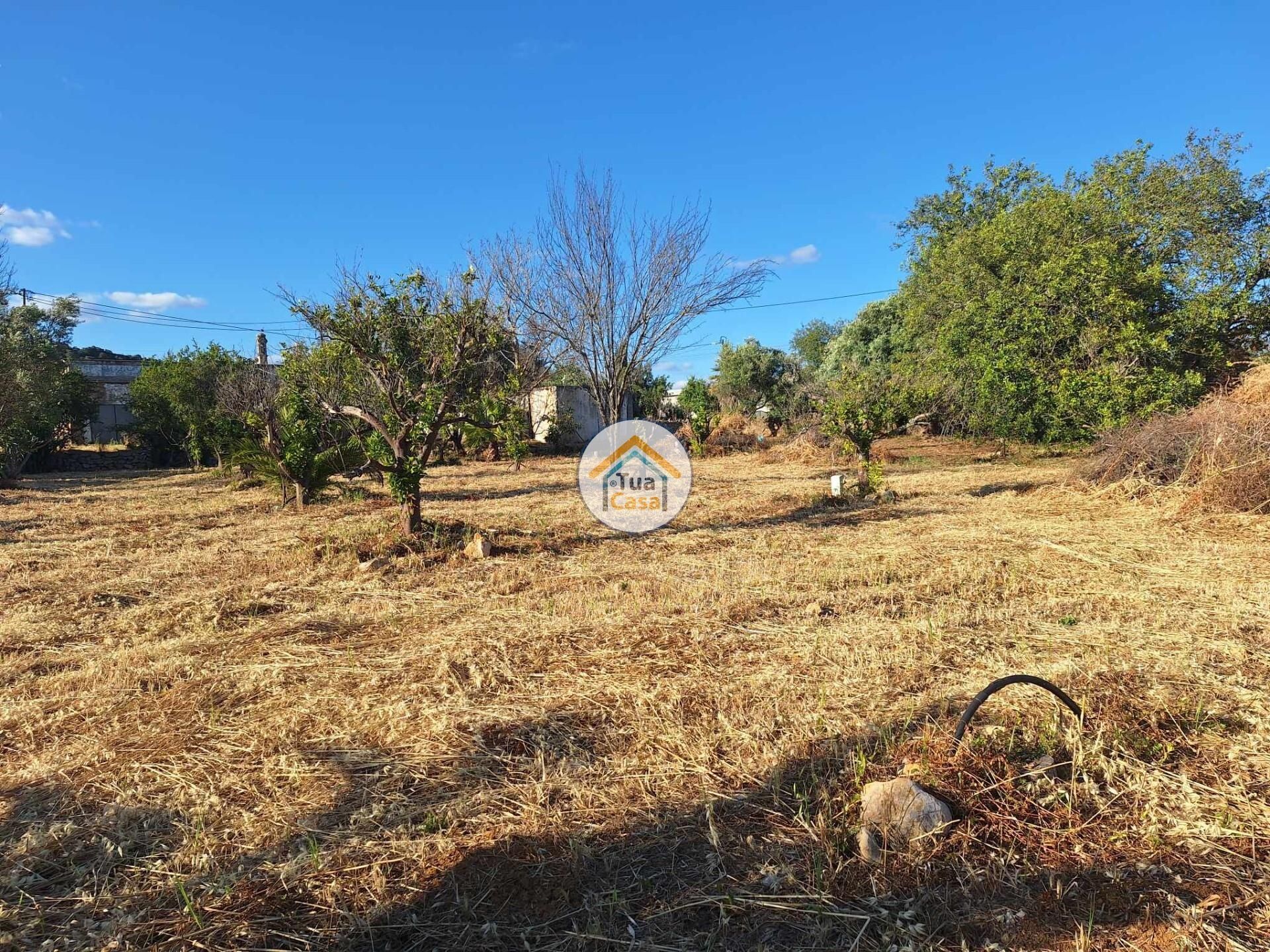 Land in Loulé, Faro District 12652482