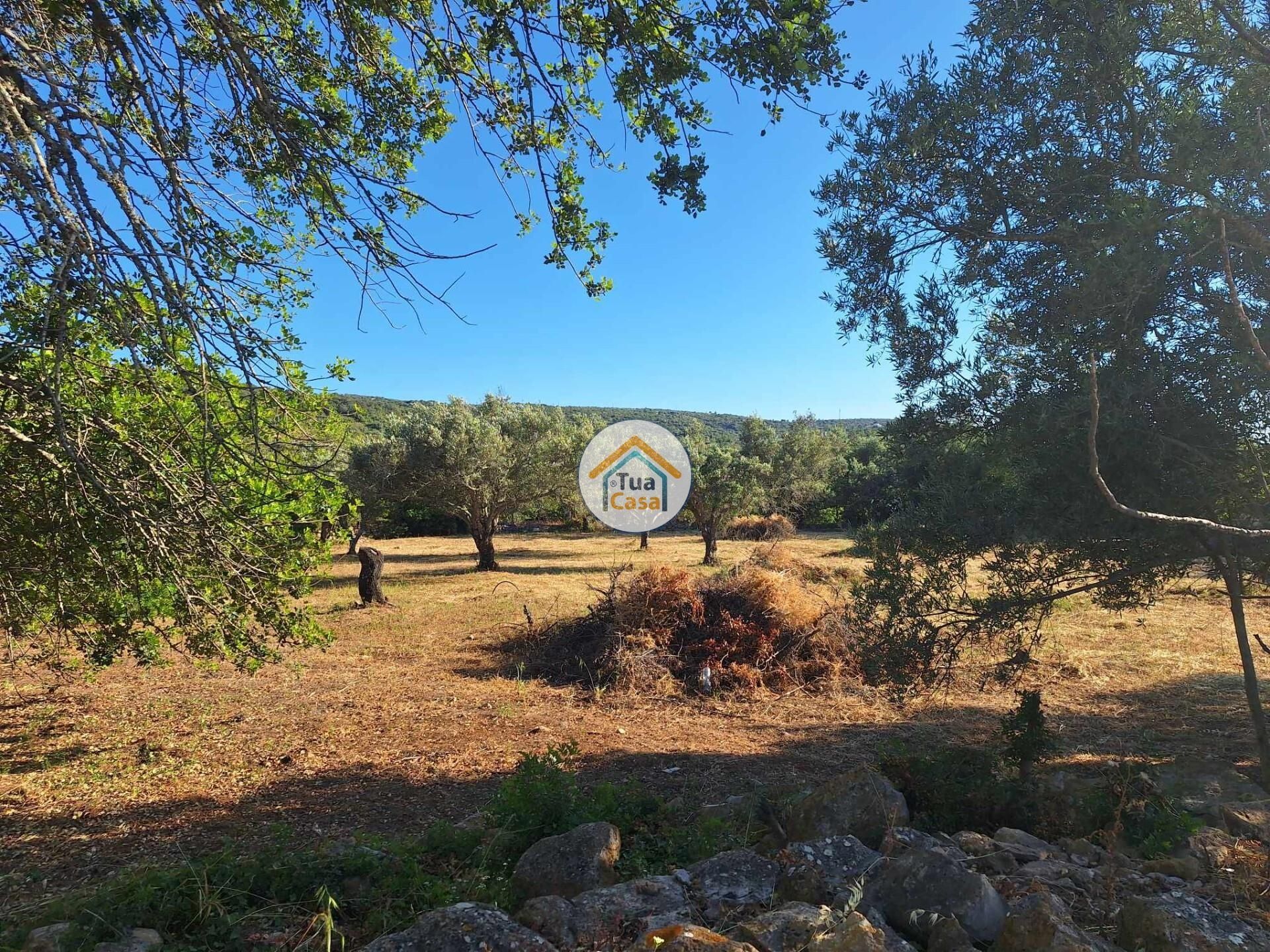 Land im Loulé, Faro District 12652482