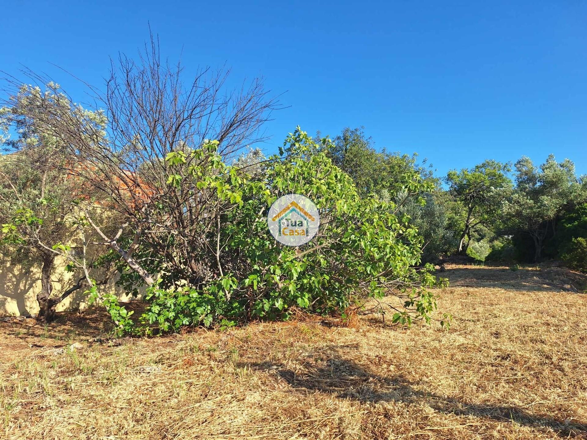 rumah dalam Loulé, Faro District 12652485