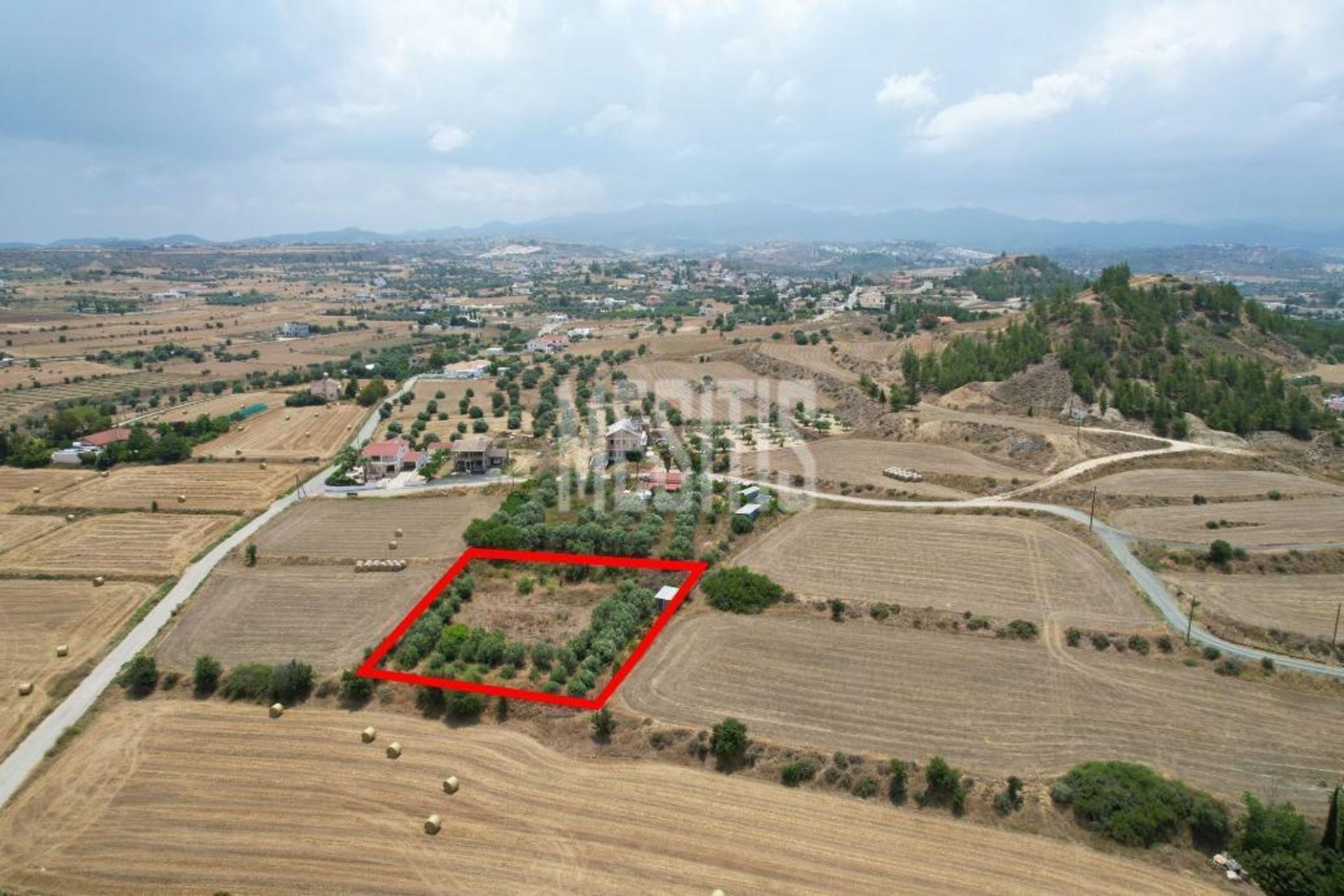 Land i Psimolofou, Lefkosia 12659273