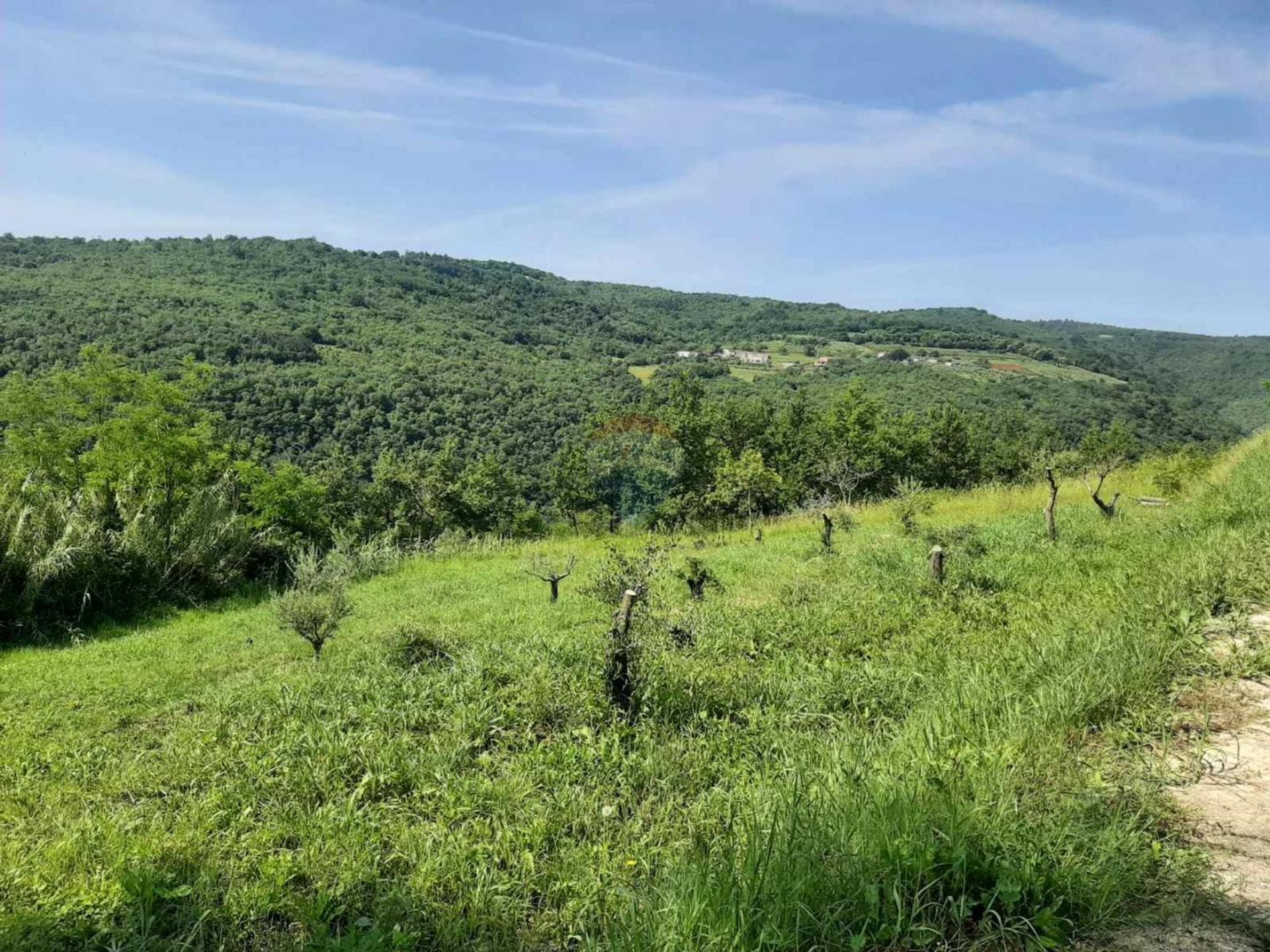 Terra no Motovun, Istarska Zupanija 12660493