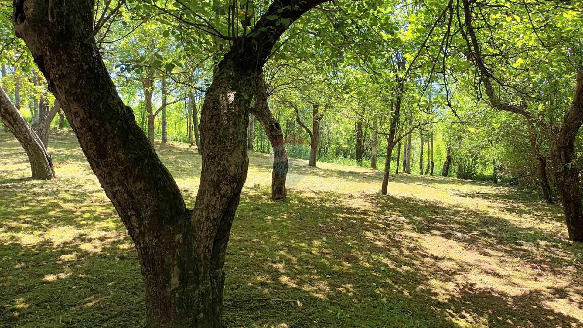 Terra no Fuzina, Primorsko-Goranska Zupanija 12660553