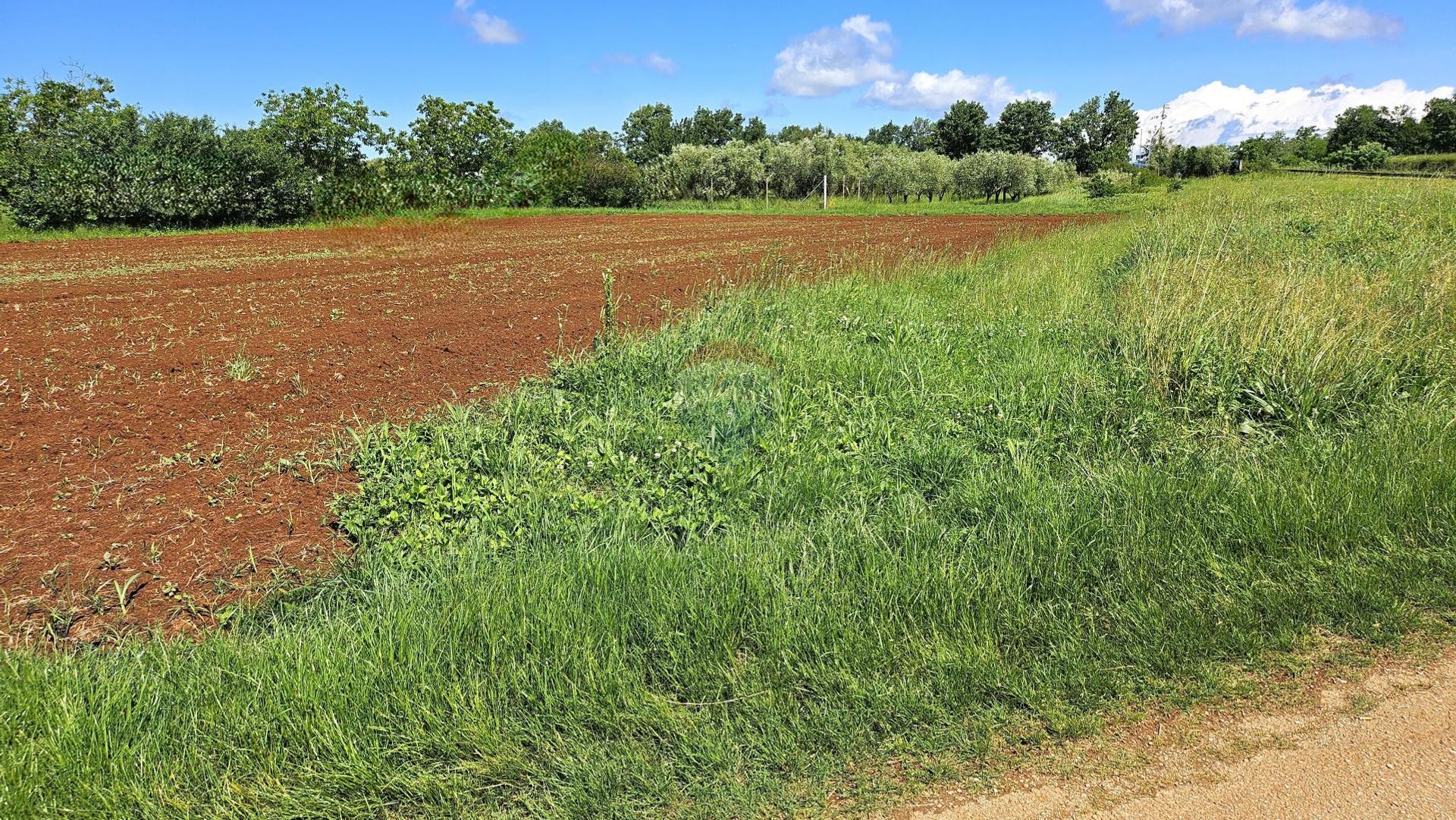 Land i Brtonigla, Istarska županija 12660566